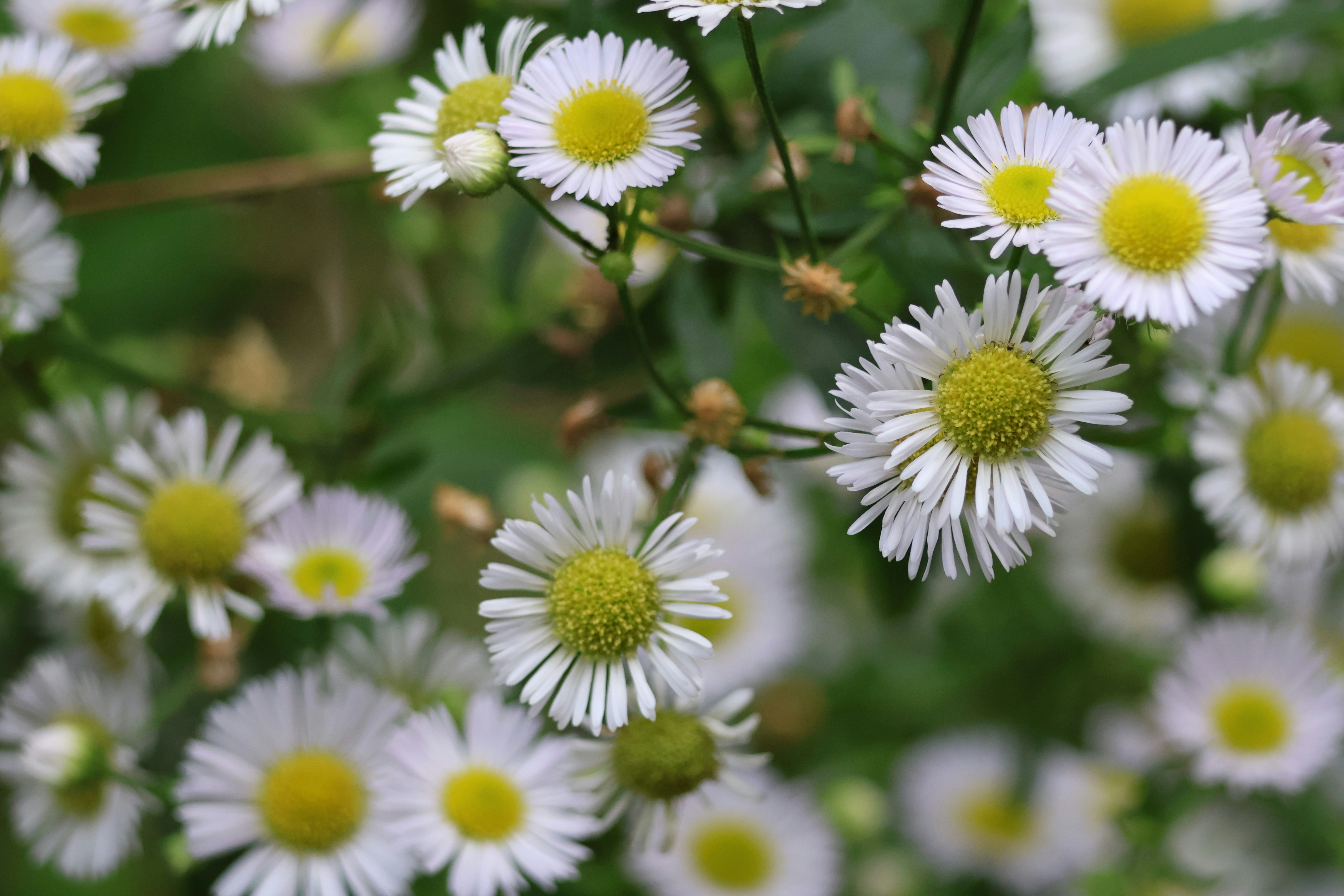 Photo by shooter__andy