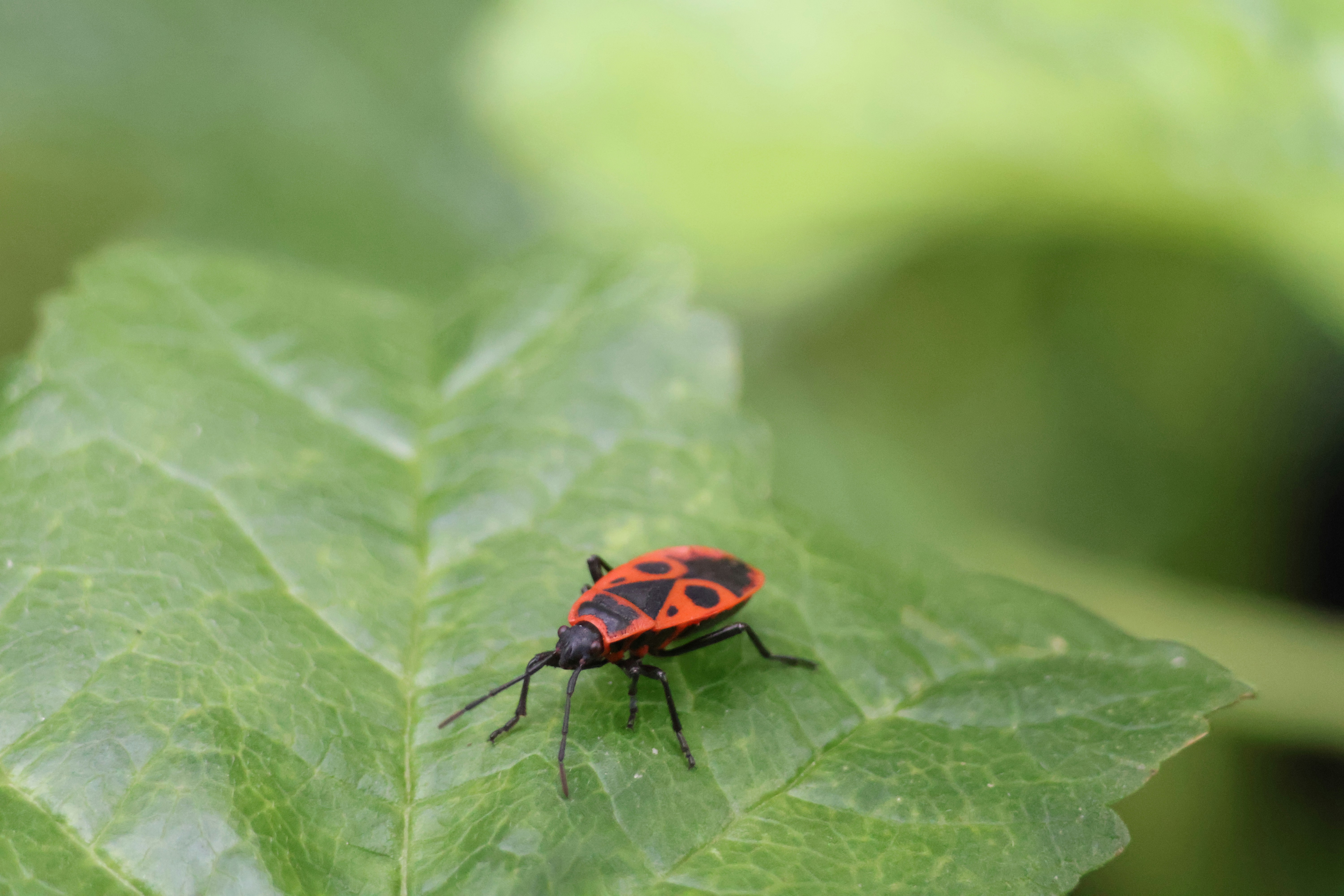 Photo by shooter__andy