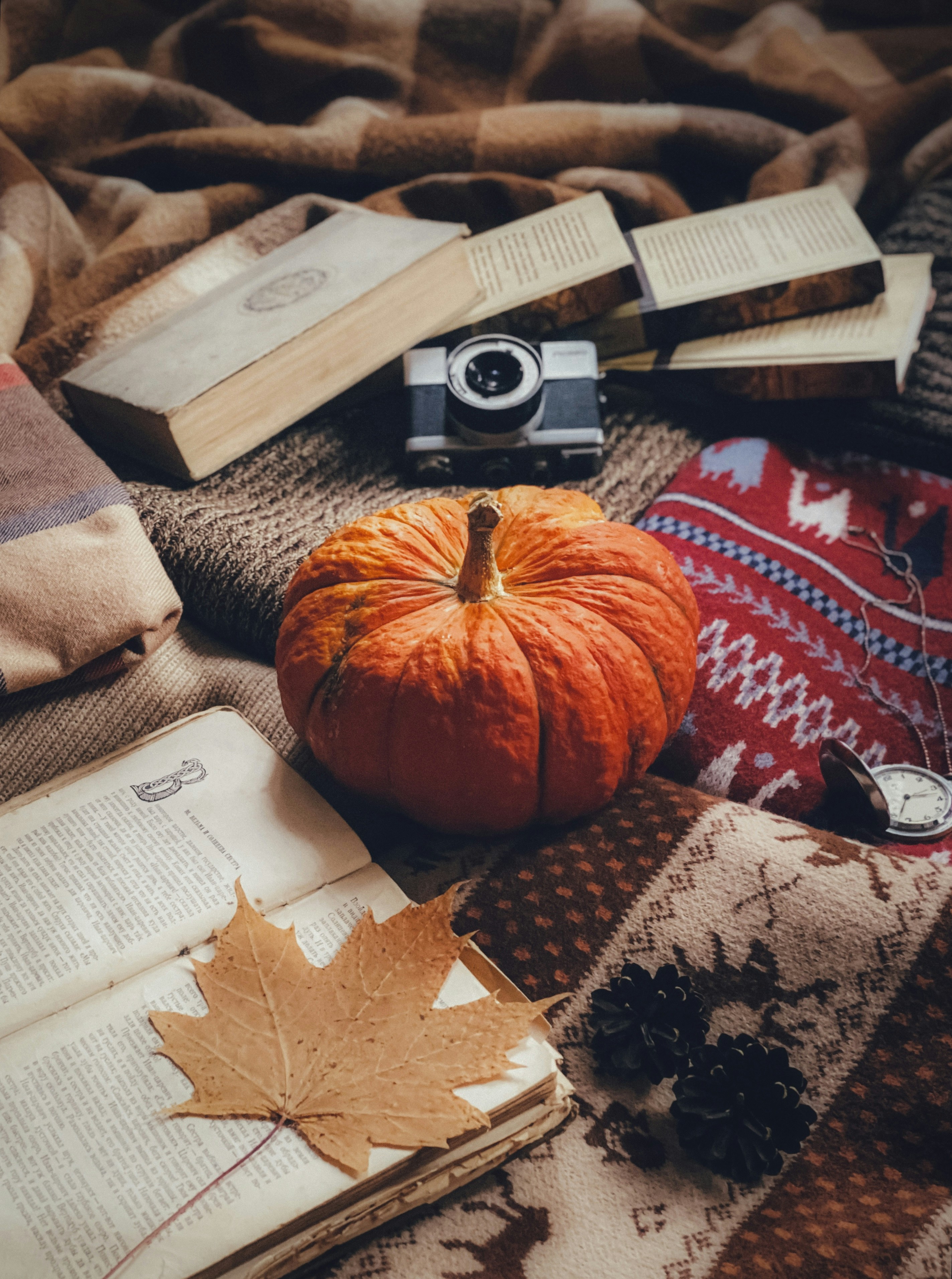 Photo by eugene_golovesov