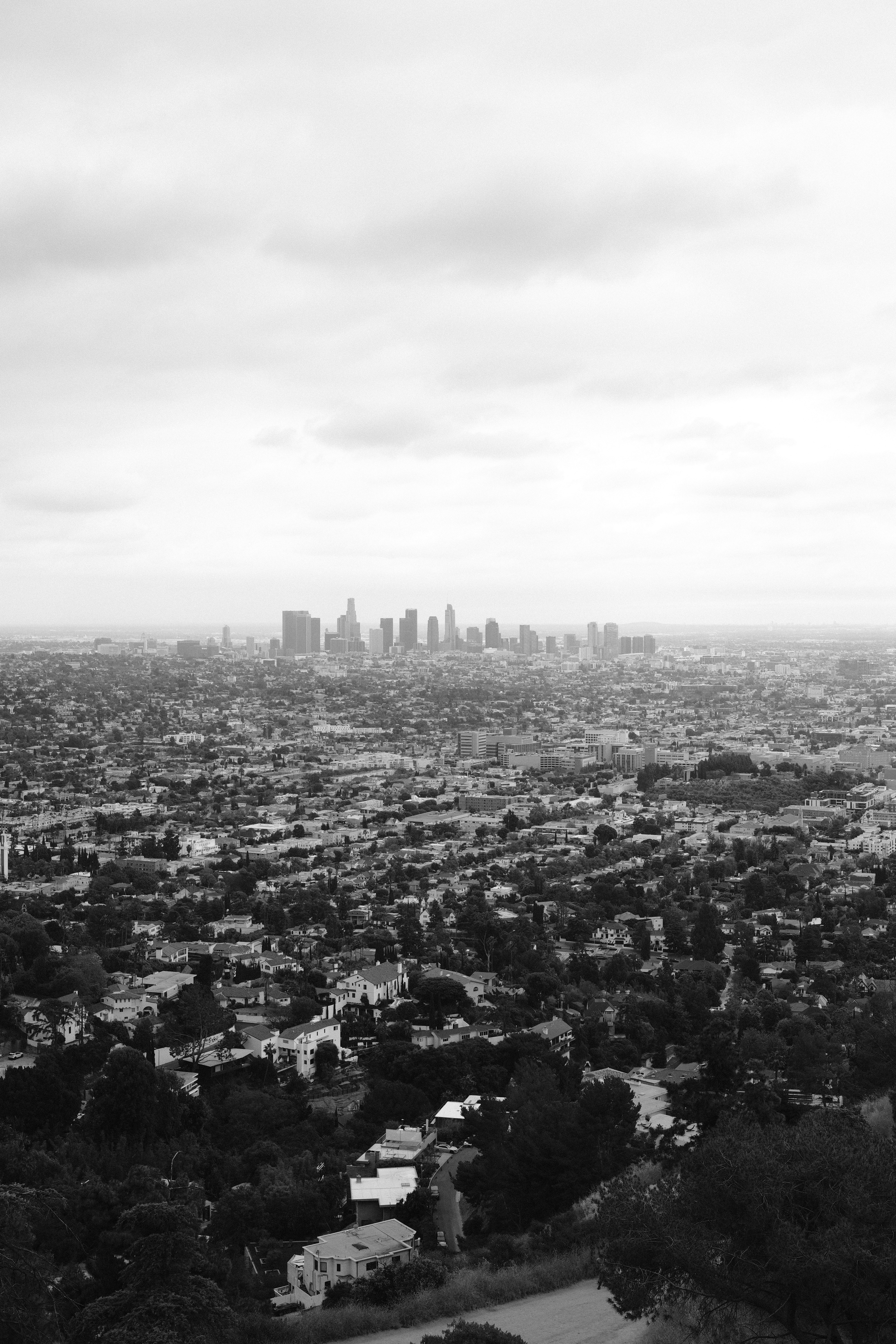 Containers in Los Angeles, CA