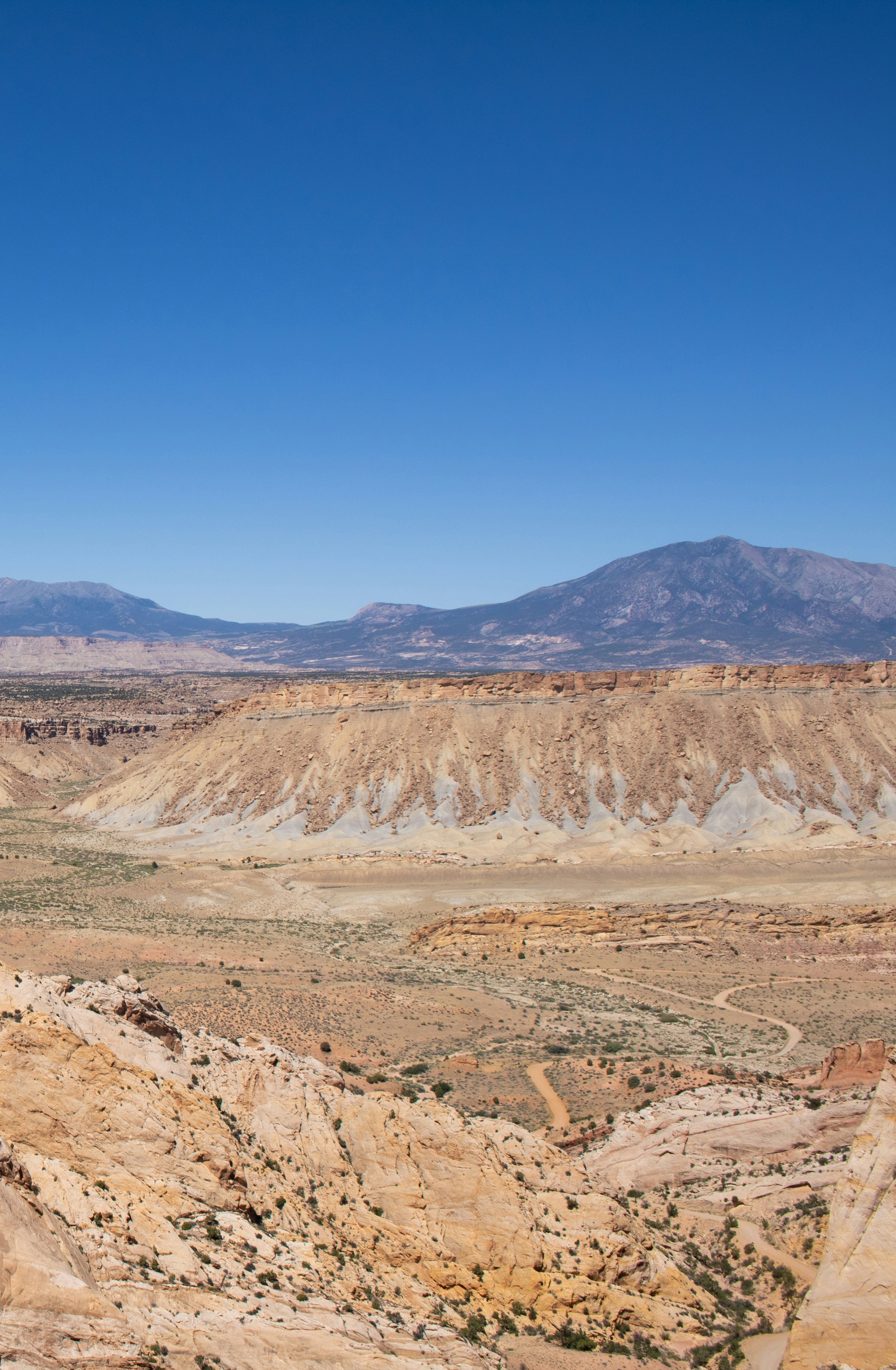 Photo by zoshuacolah