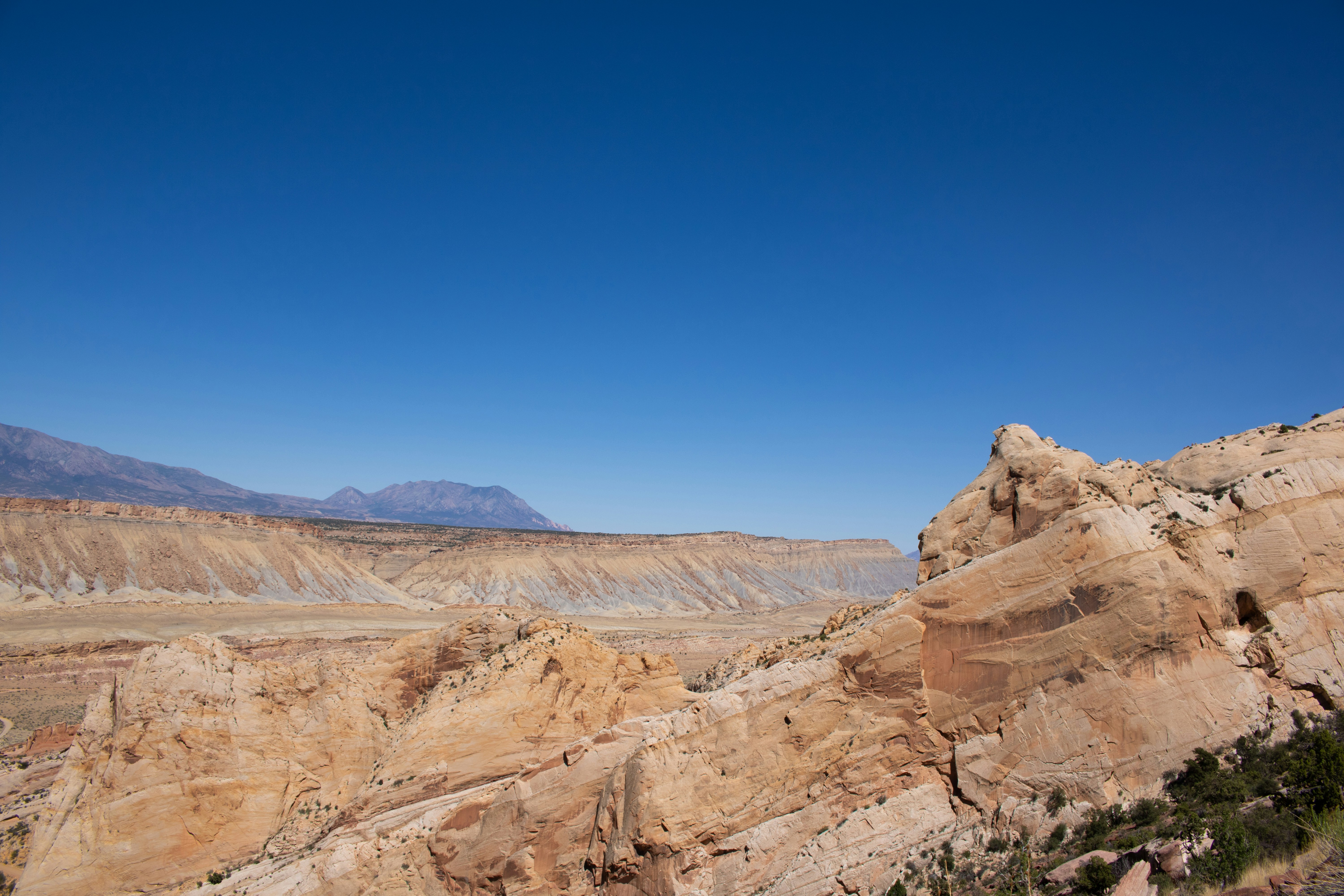 Photo by zoshuacolah