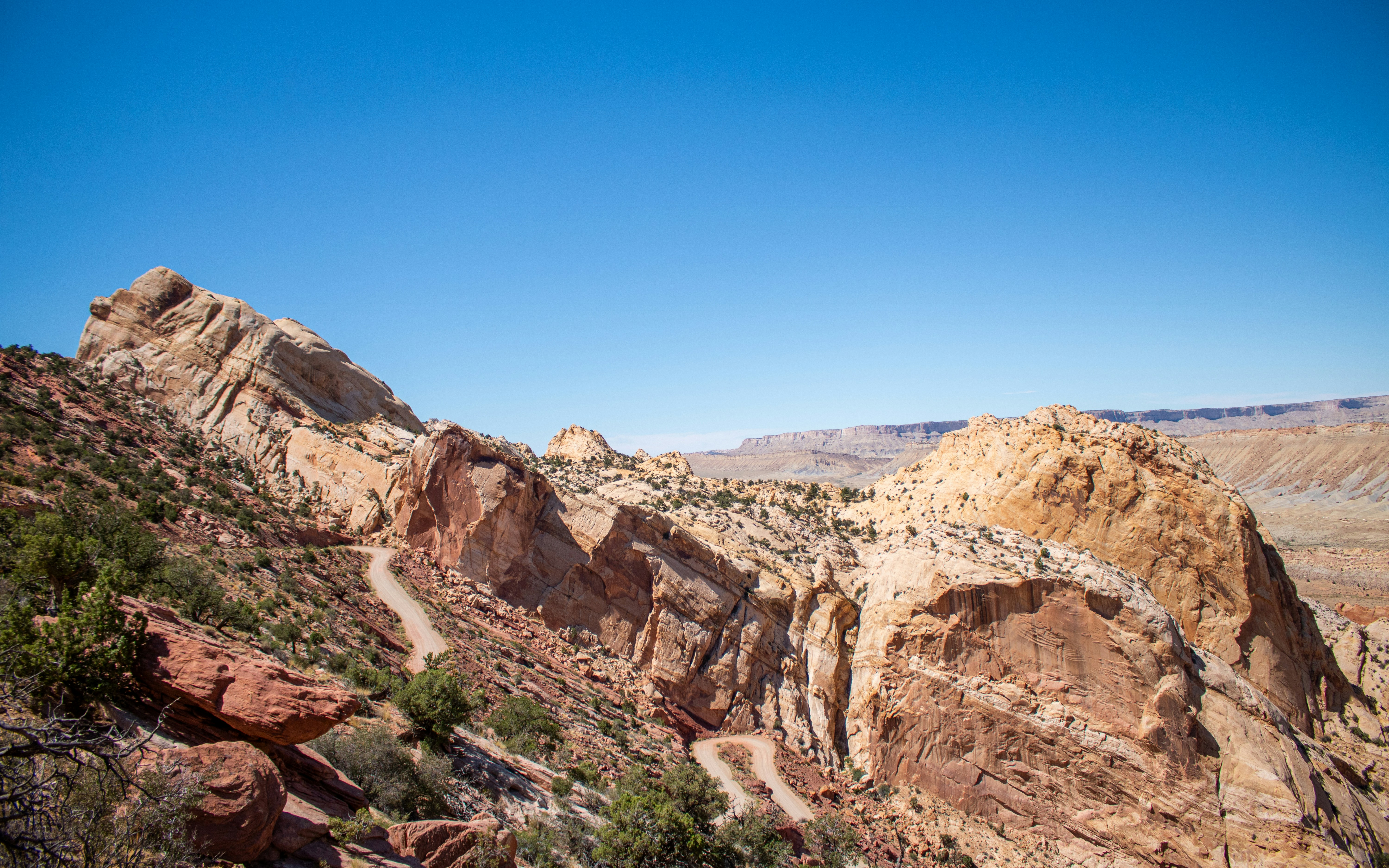 Photo by zoshuacolah