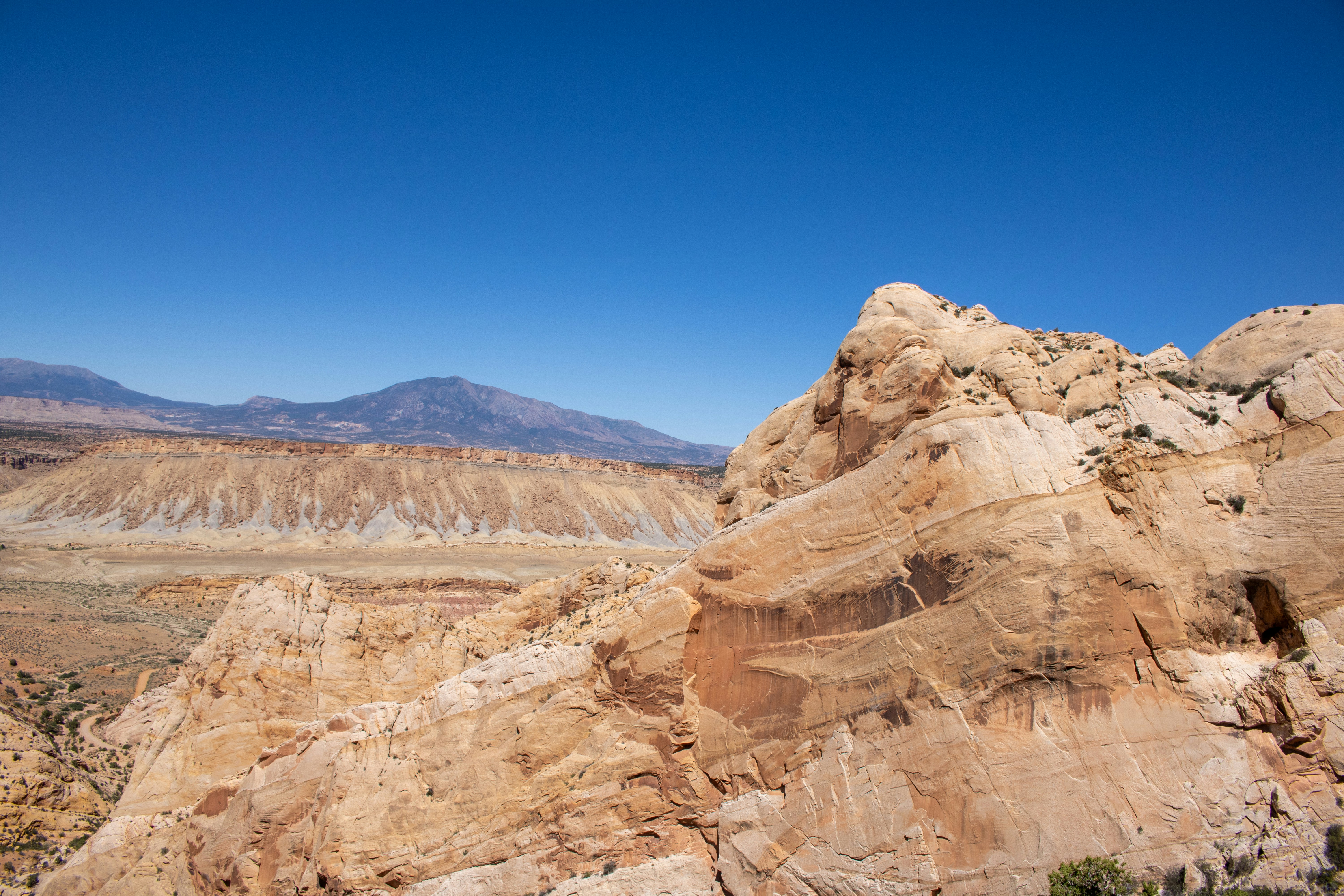 Photo by zoshuacolah