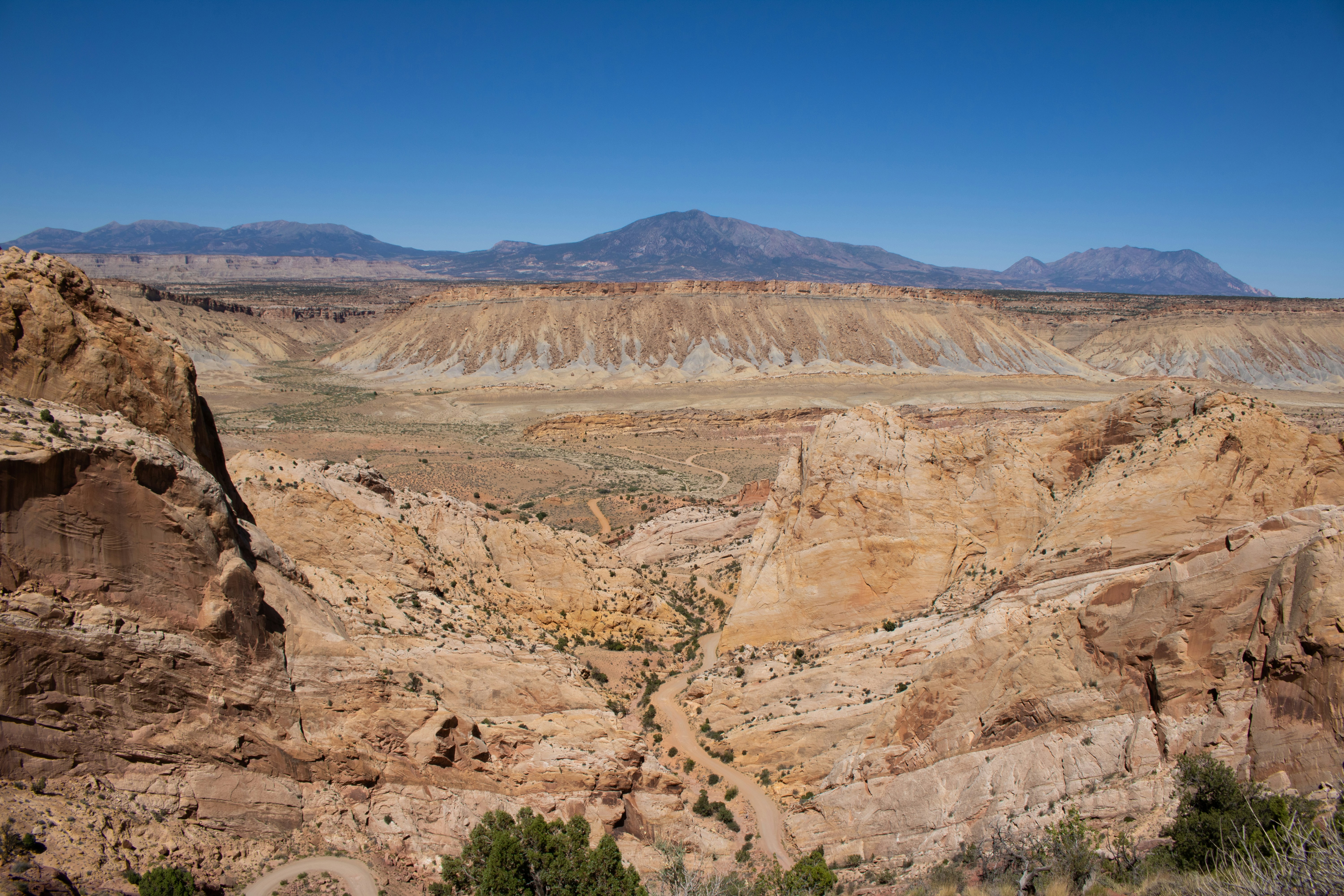 Photo by zoshuacolah