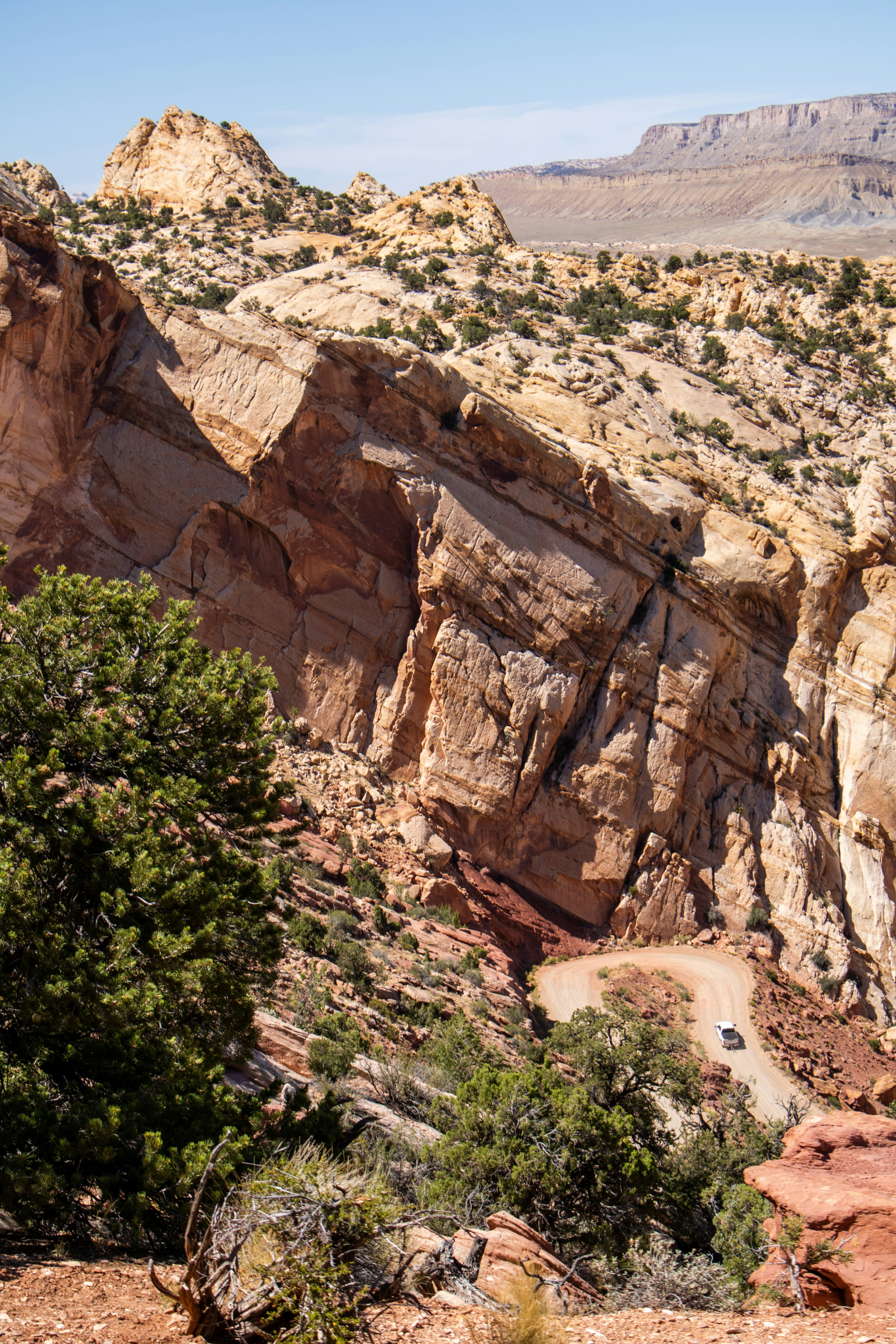 Photo by zoshuacolah