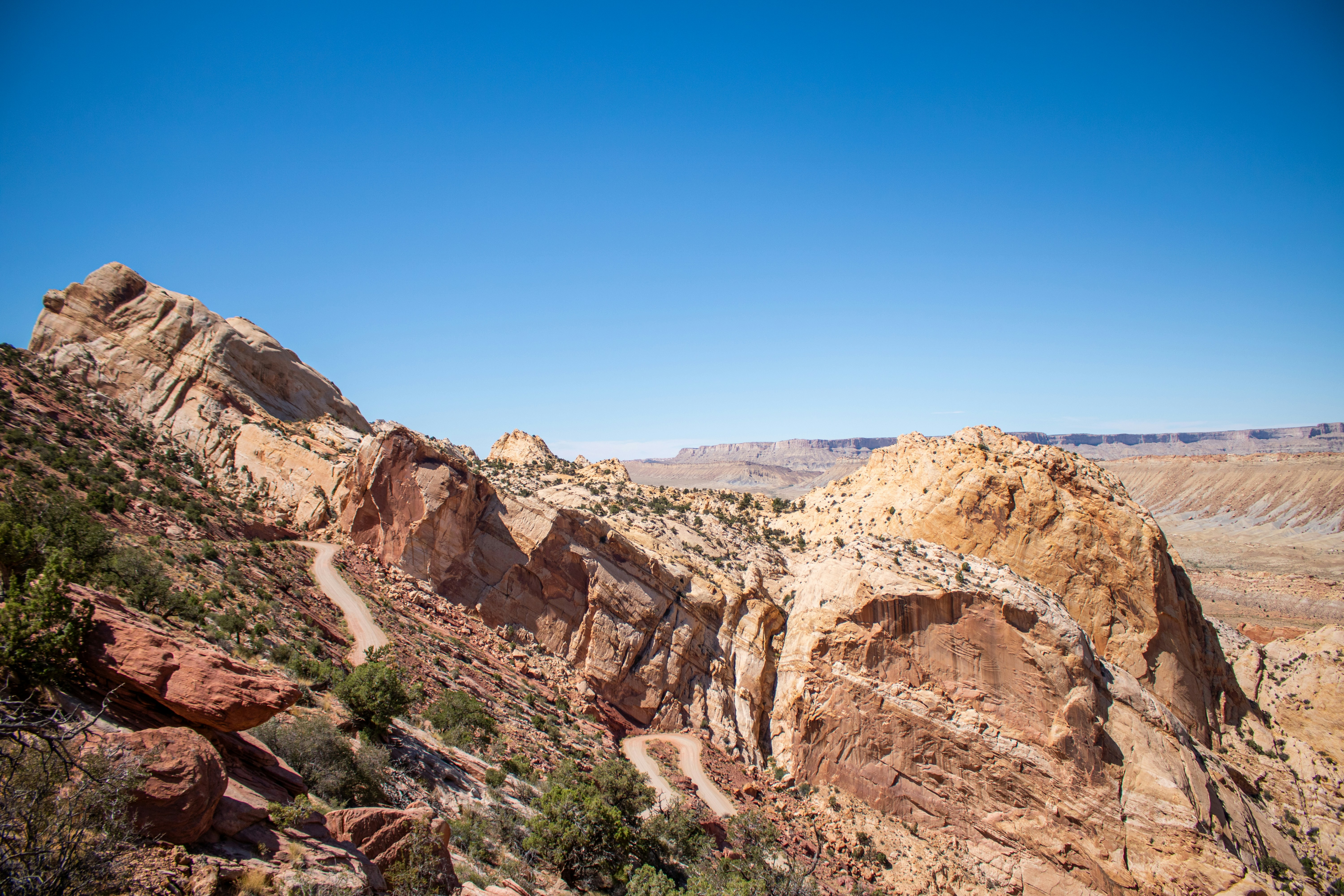 Photo by zoshuacolah