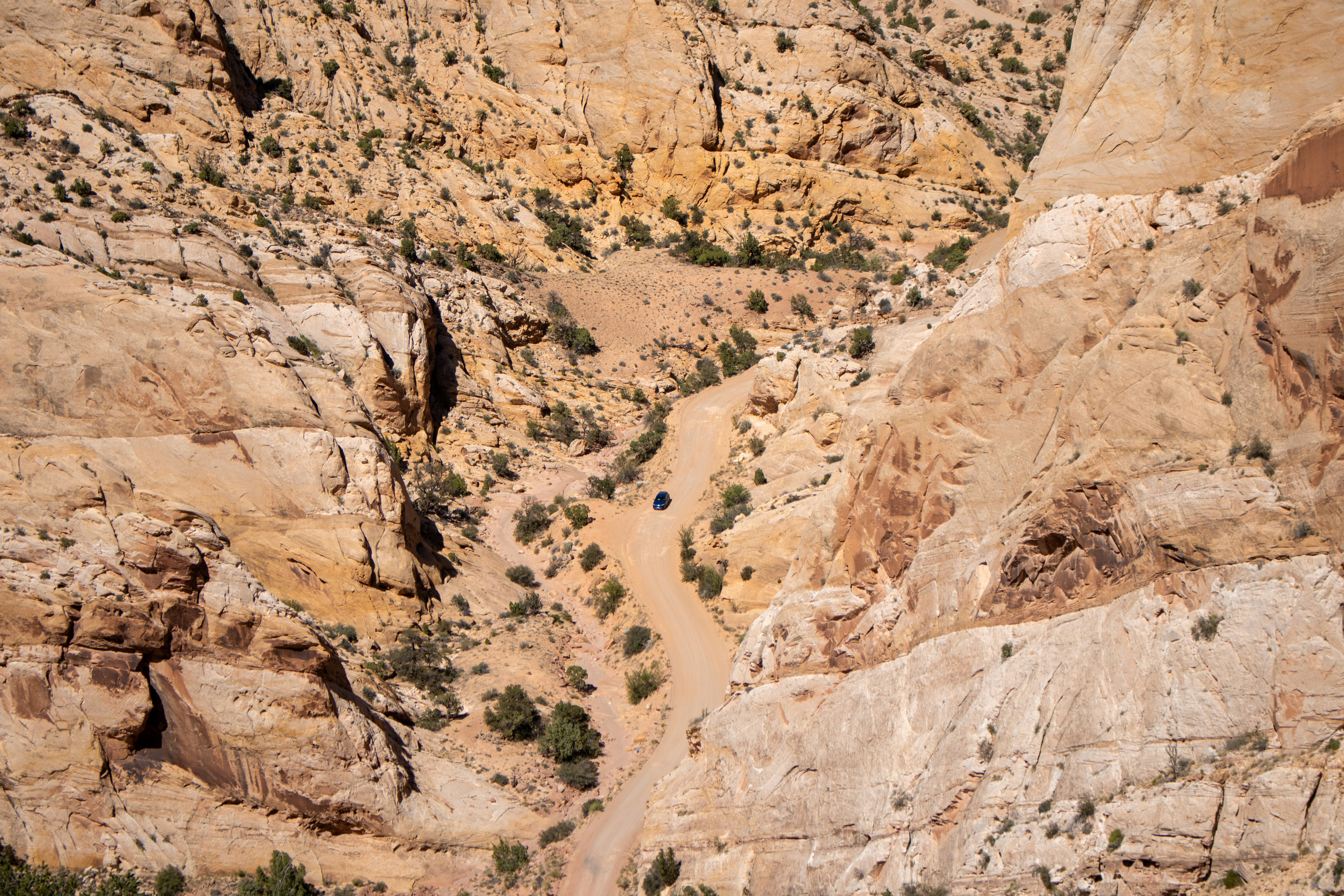 Photo by zoshuacolah