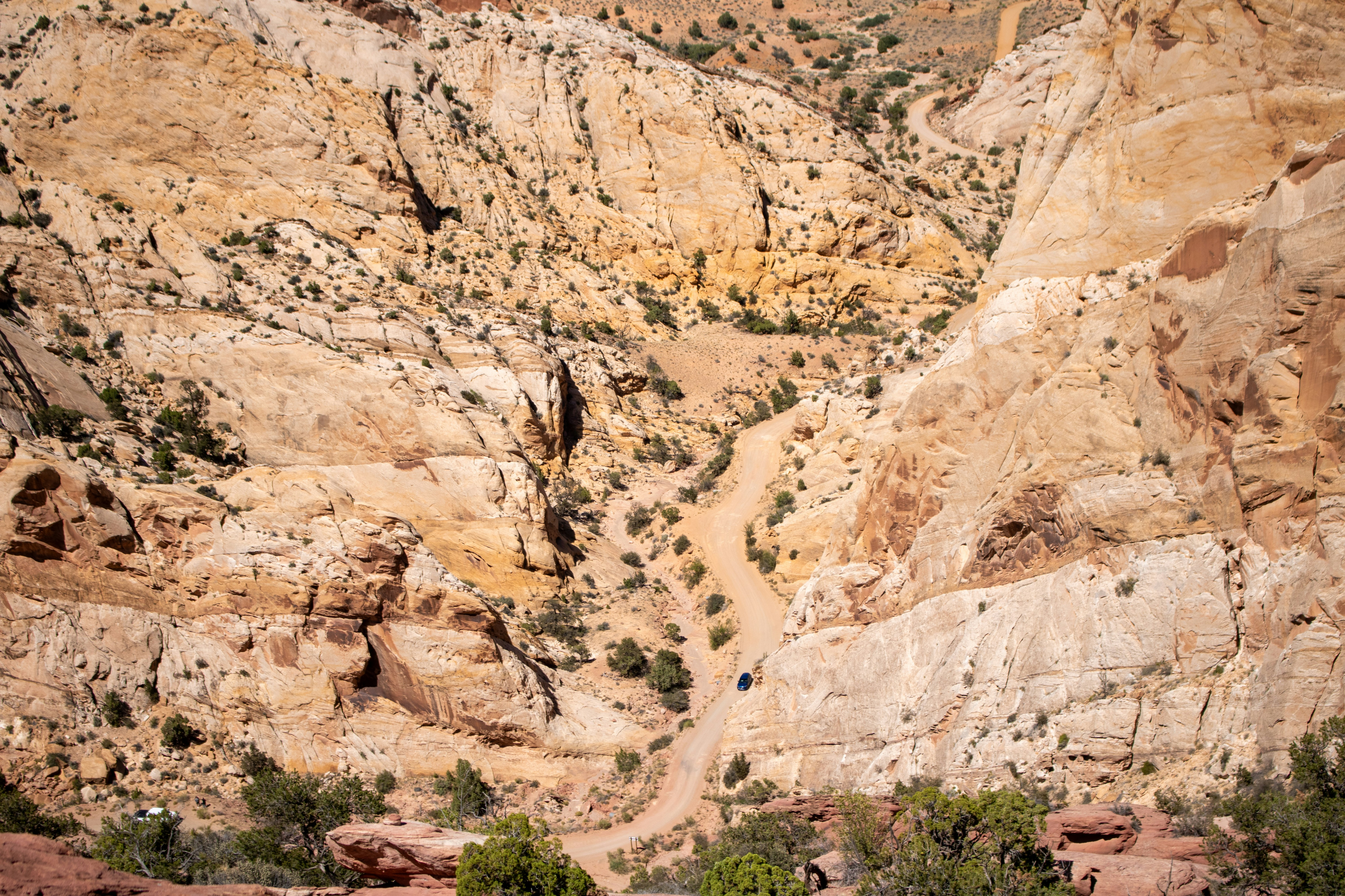 Photo by zoshuacolah