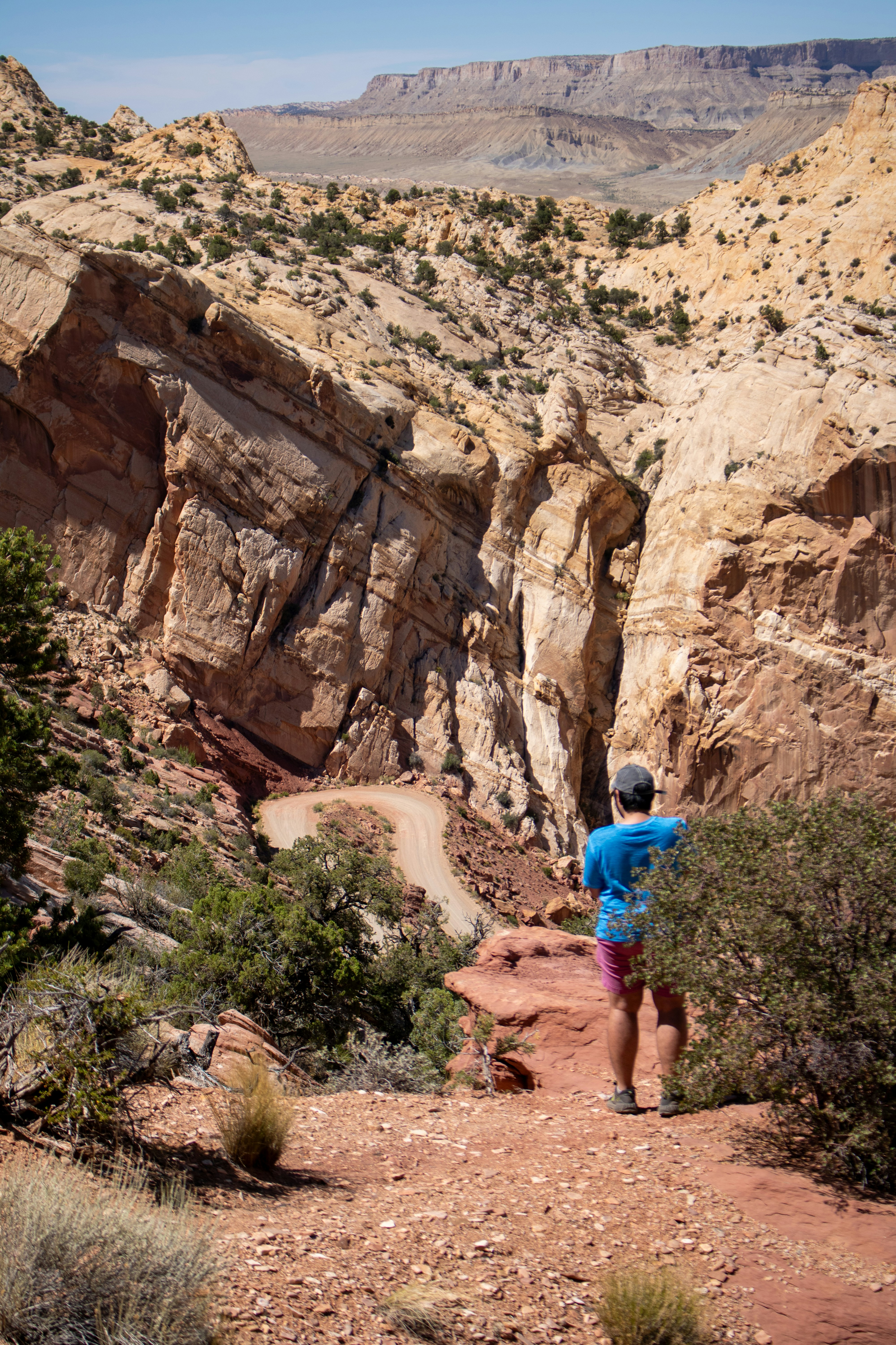 Photo by zoshuacolah