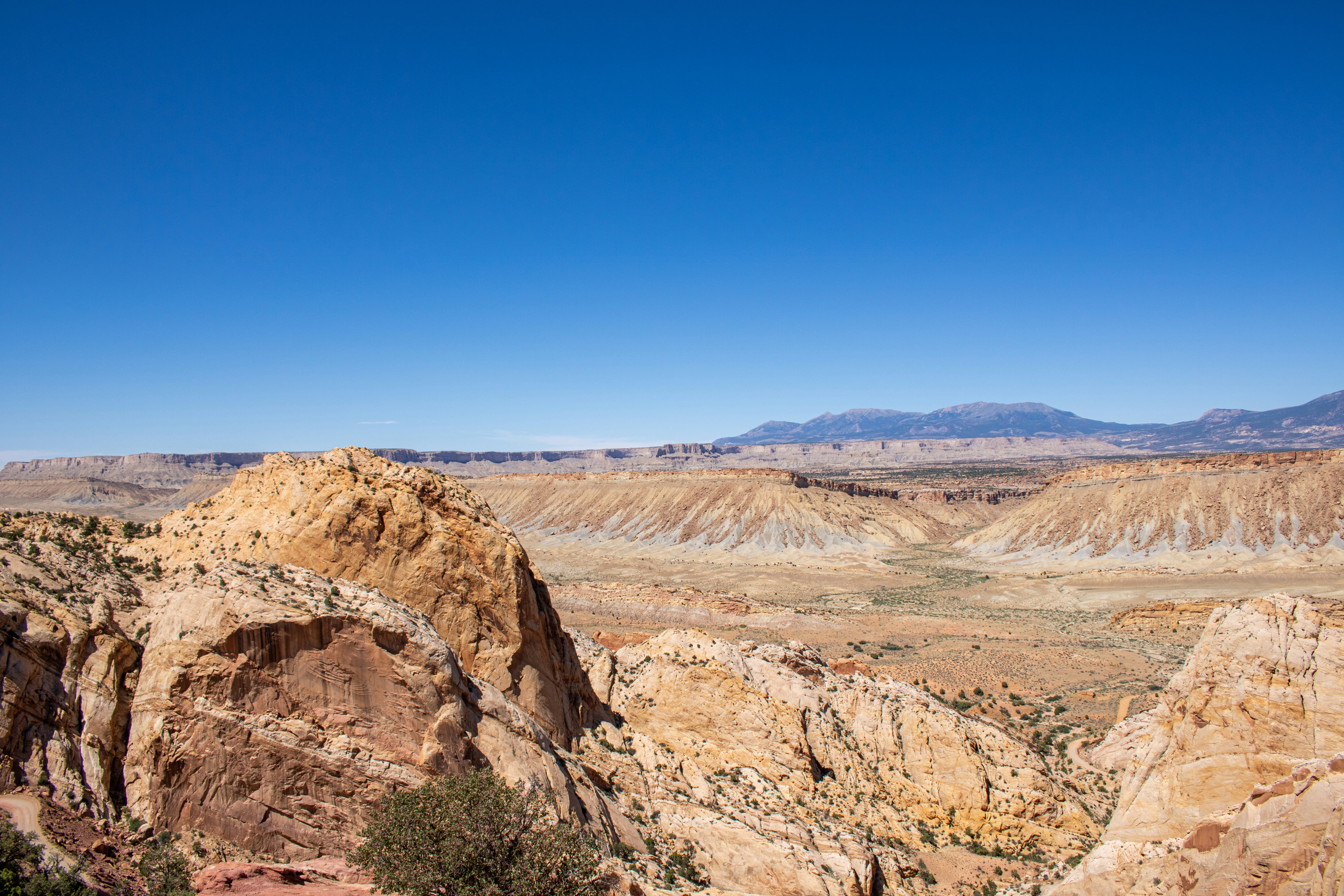 Photo by zoshuacolah