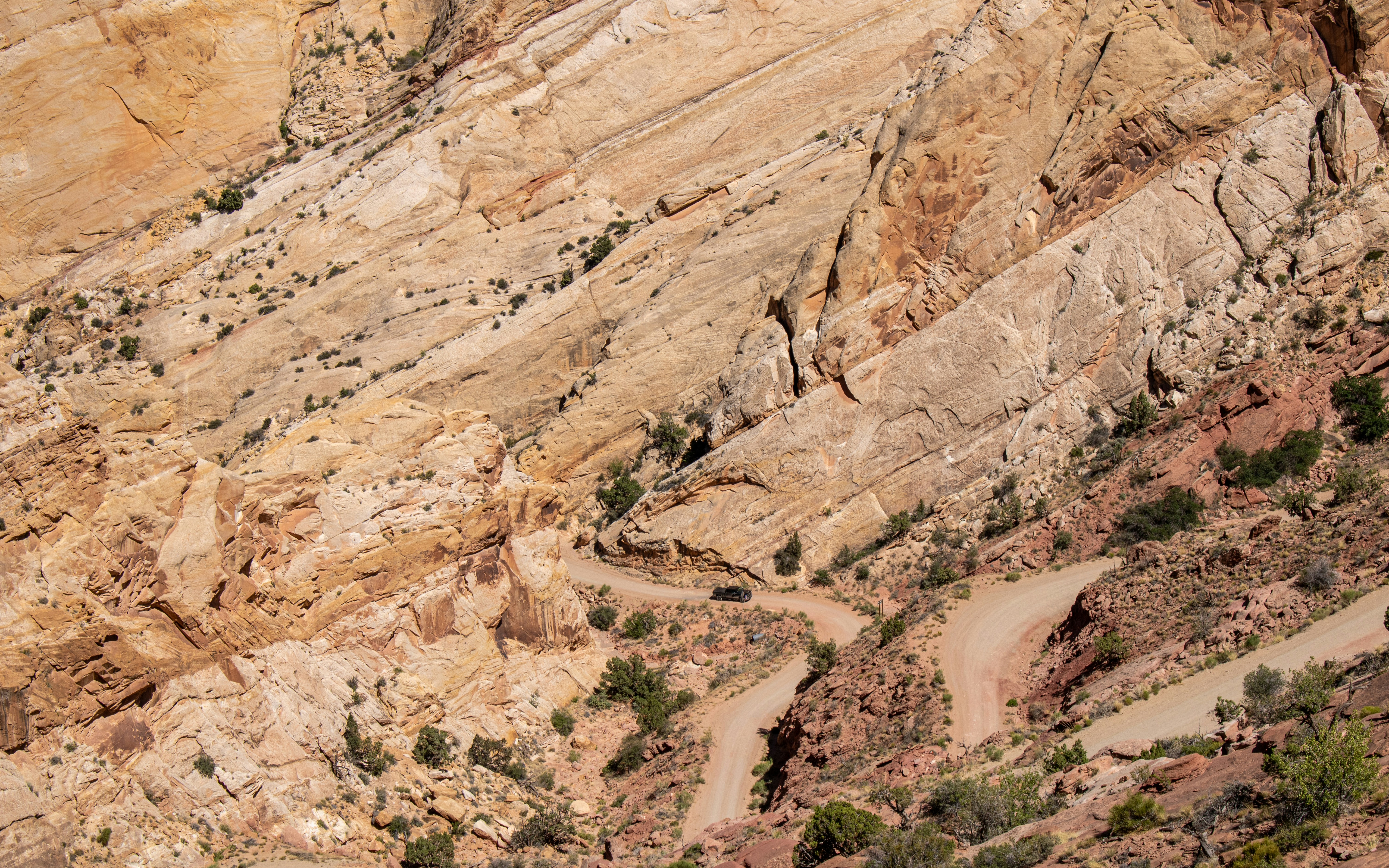 Photo by zoshuacolah