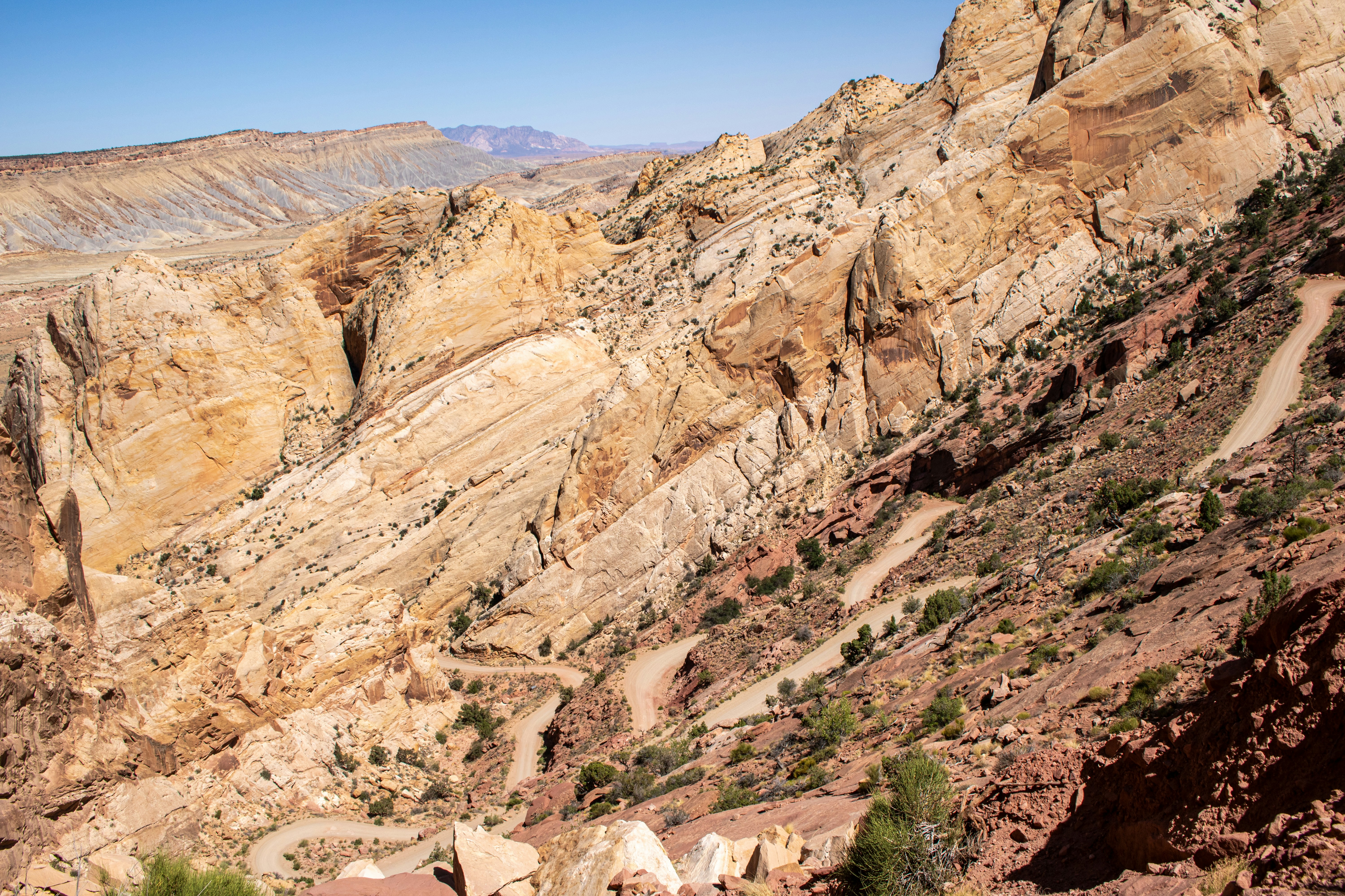 Photo by zoshuacolah