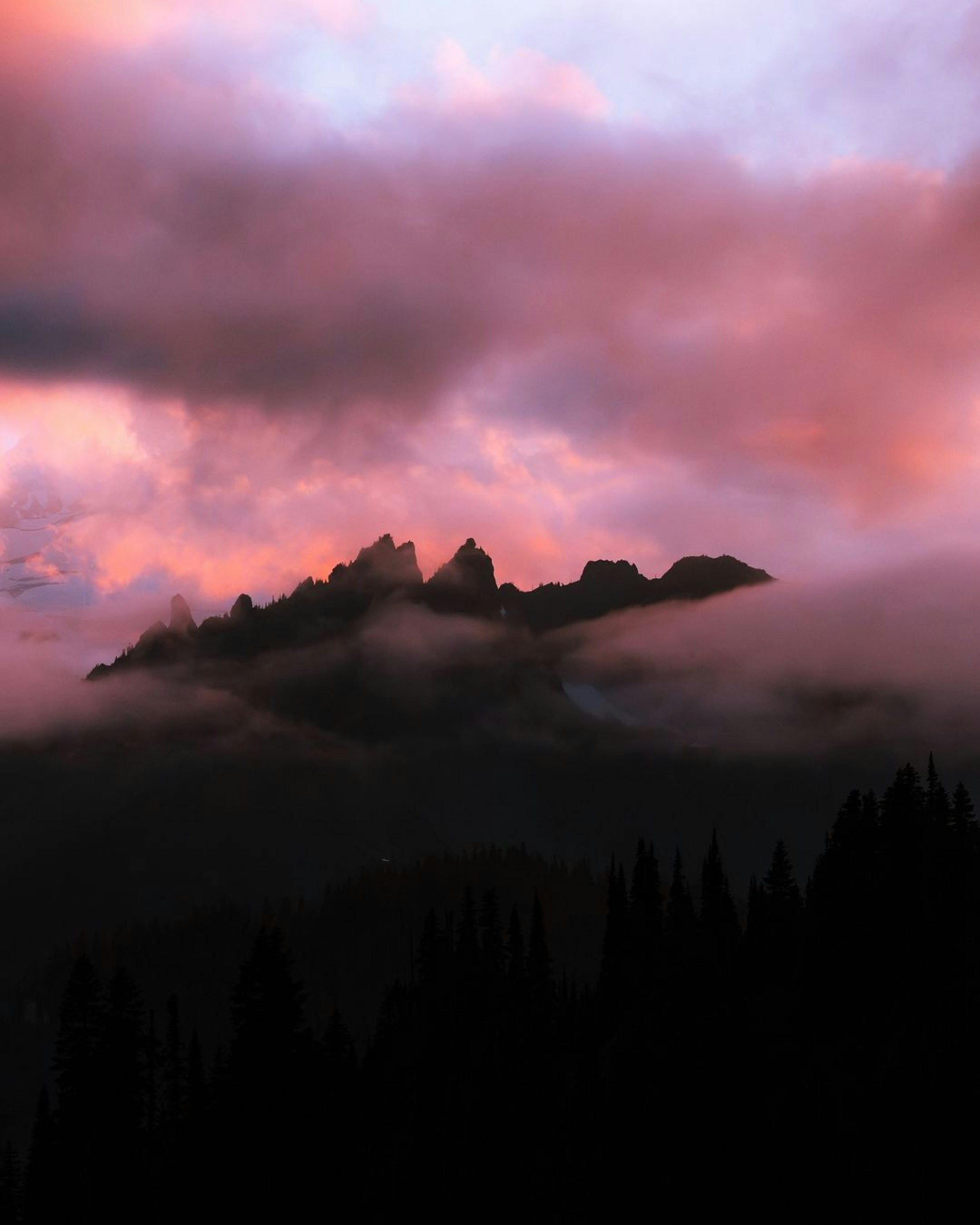 Photo by tehzeebkazmi