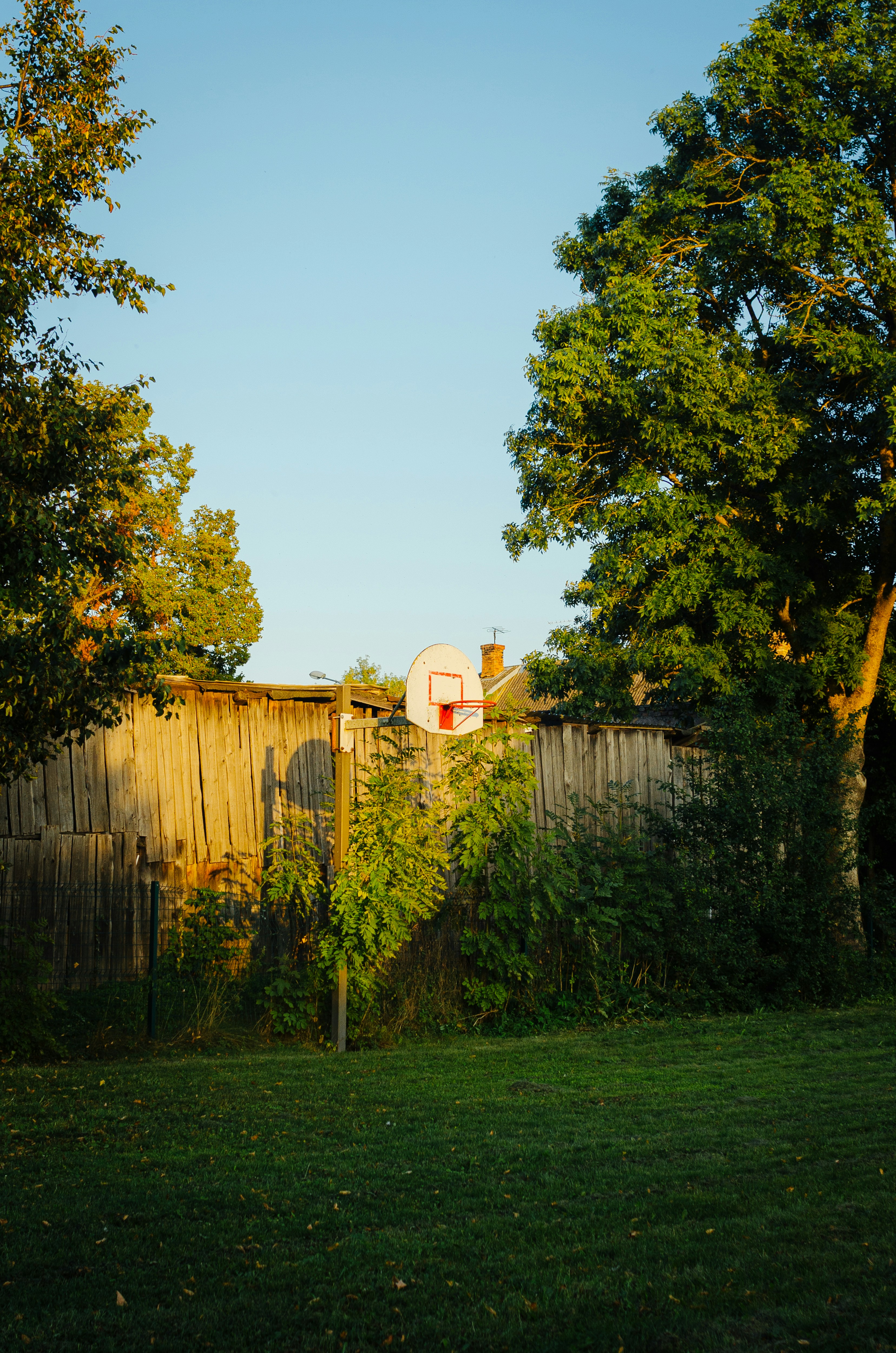 A view of a back yard with a basketball hoop