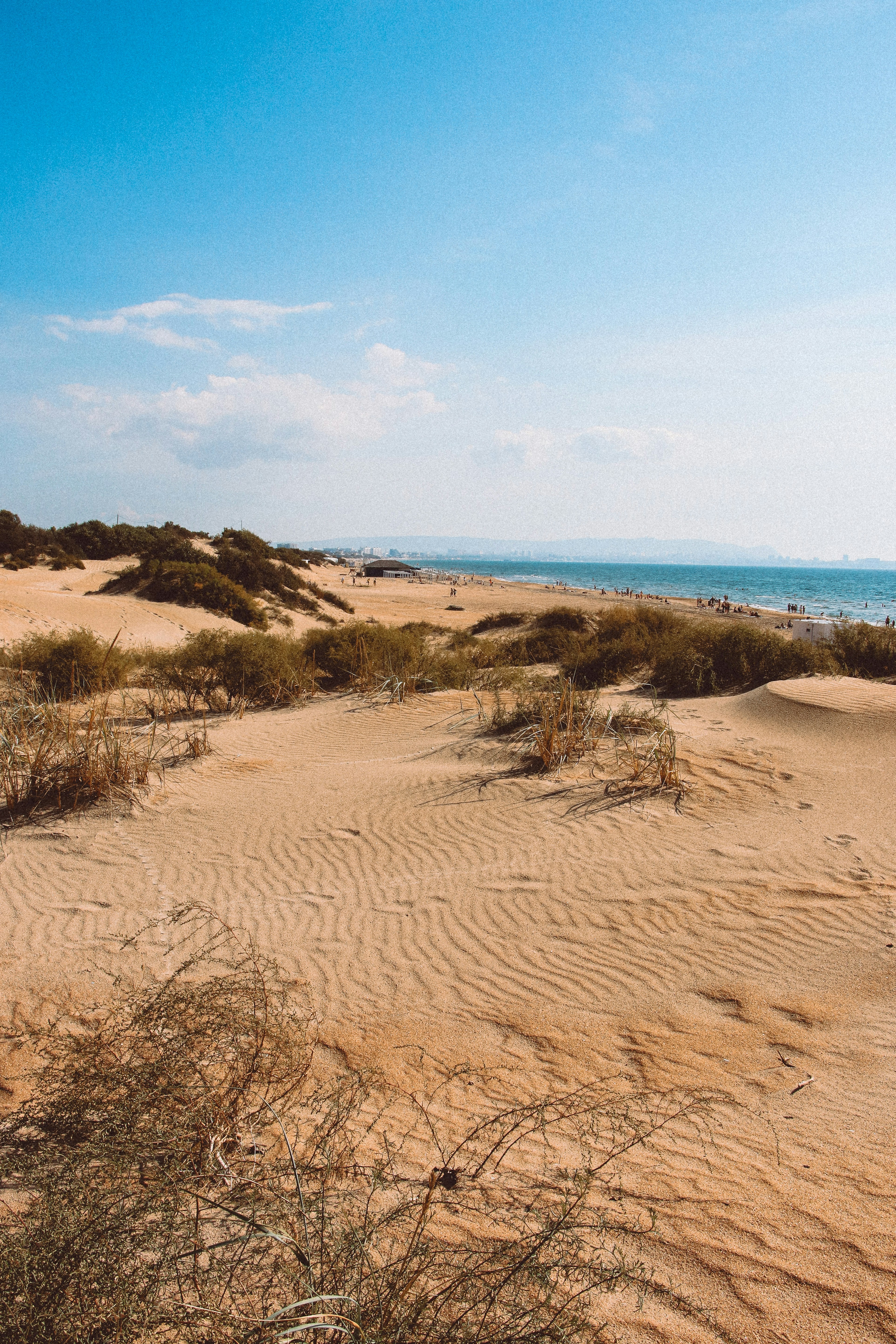 A sandy beach with a blue sky and ocean in the background