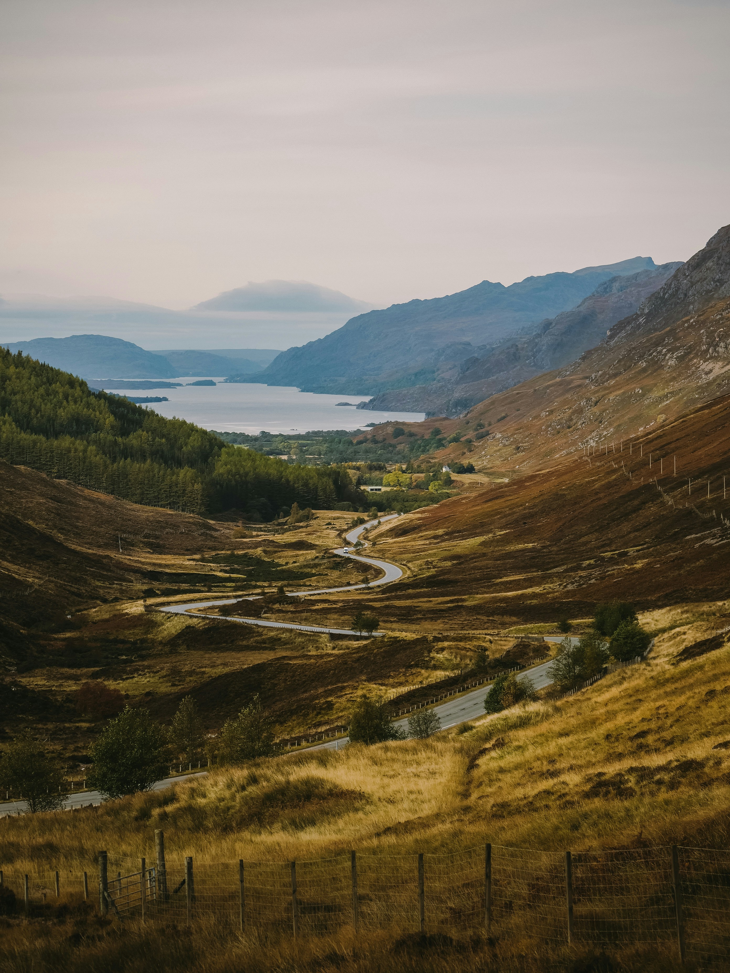 Photo by paulinaherpel