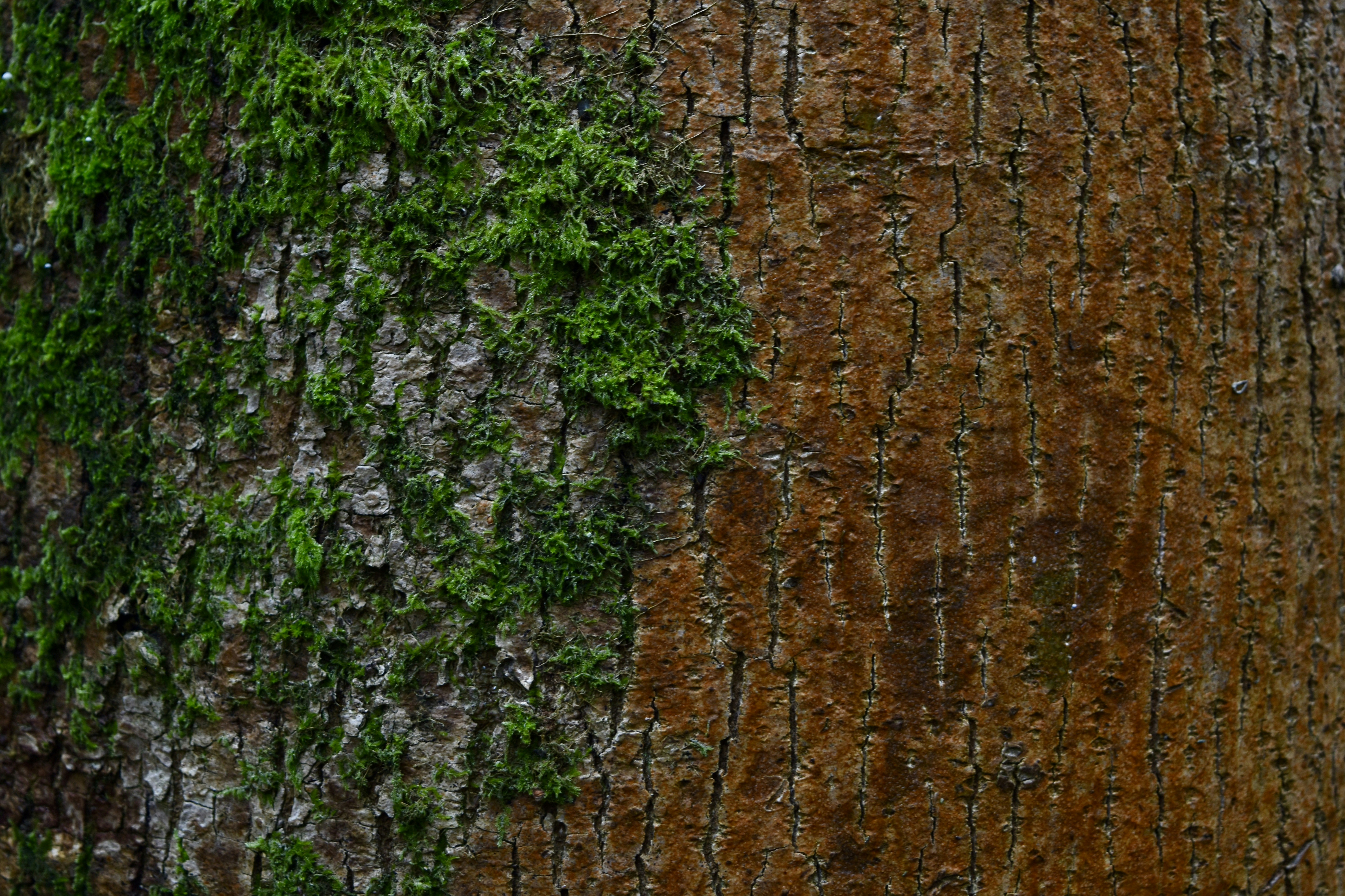 Photo by max_brindley