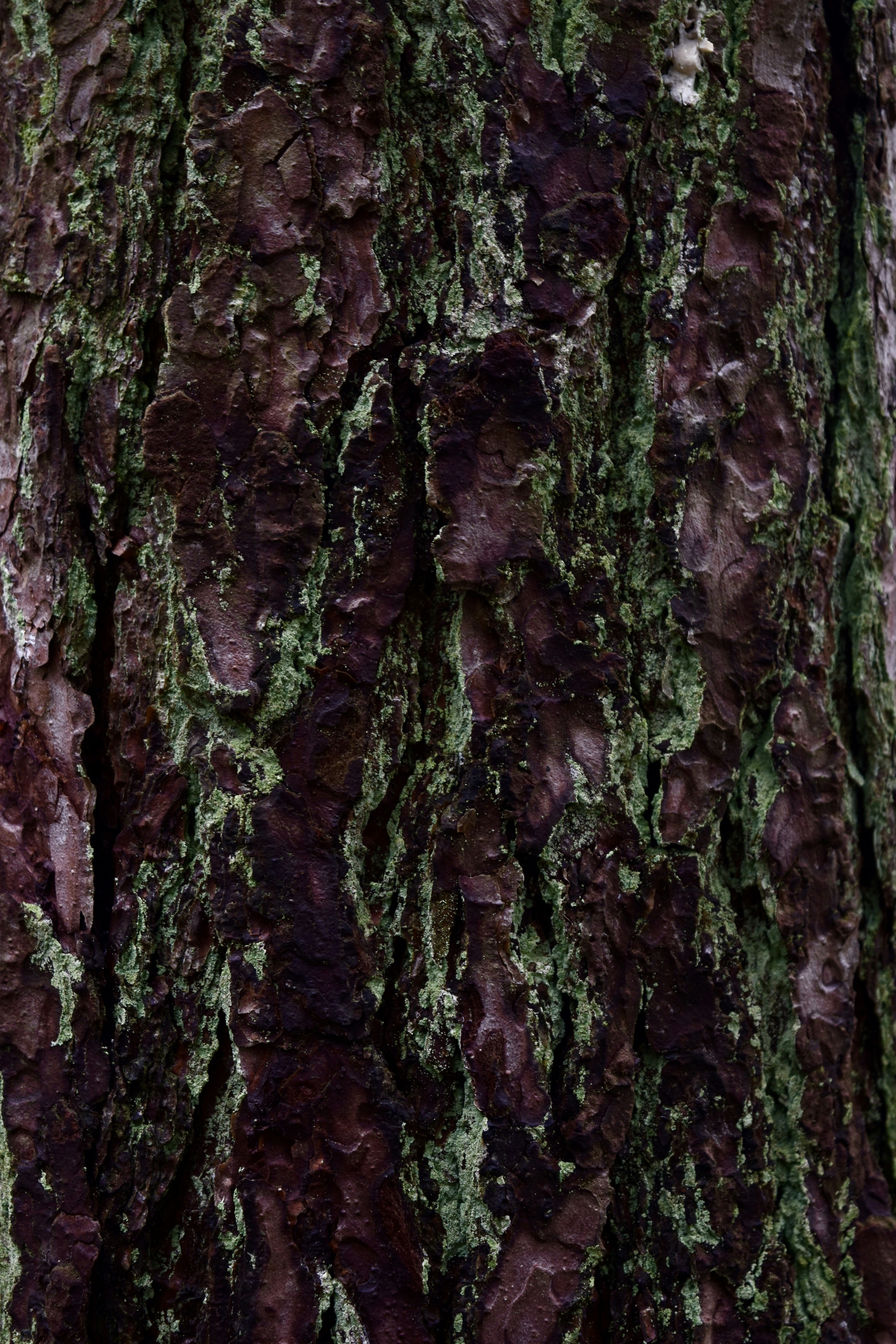 Photo by max_brindley