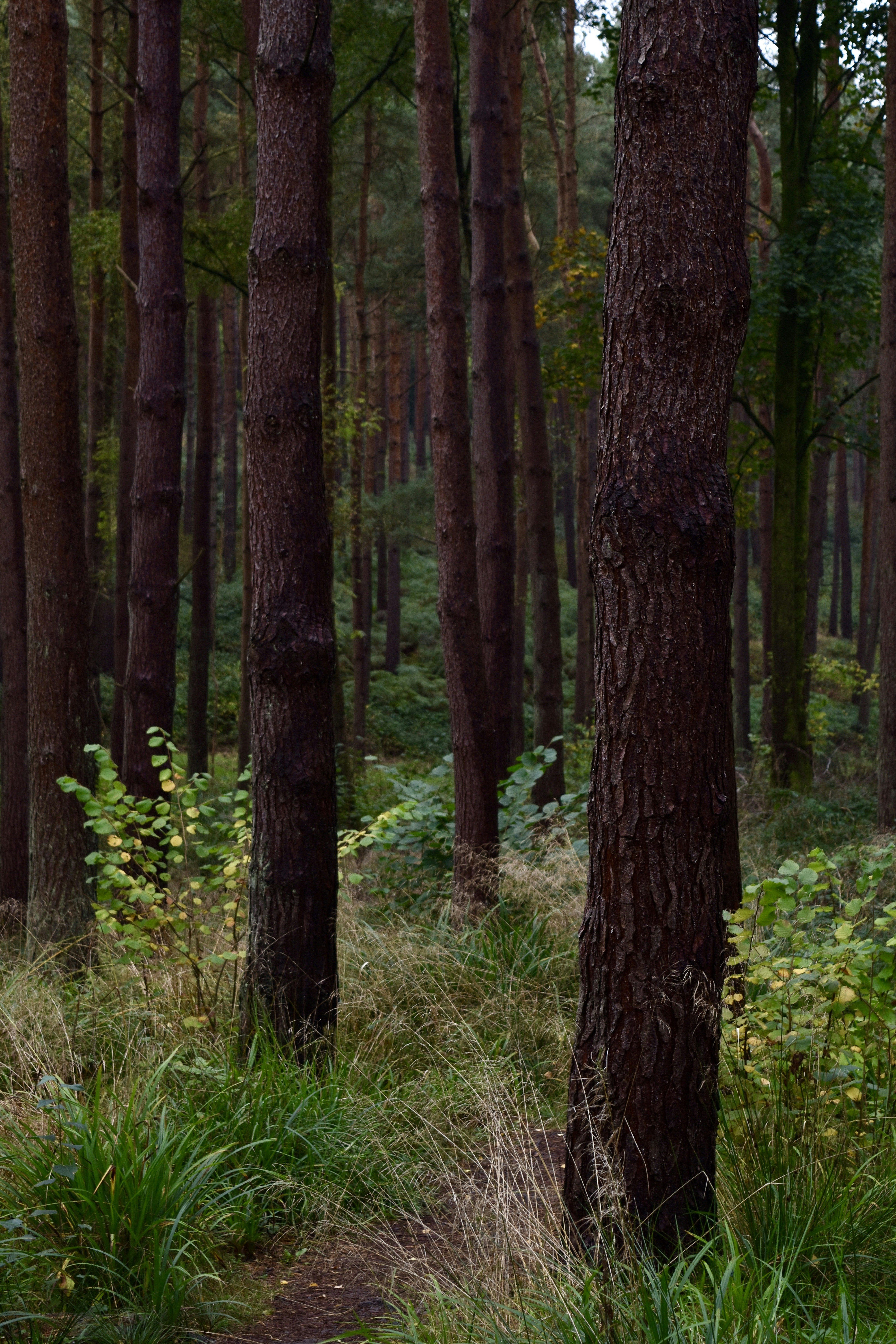 Photo by max_brindley