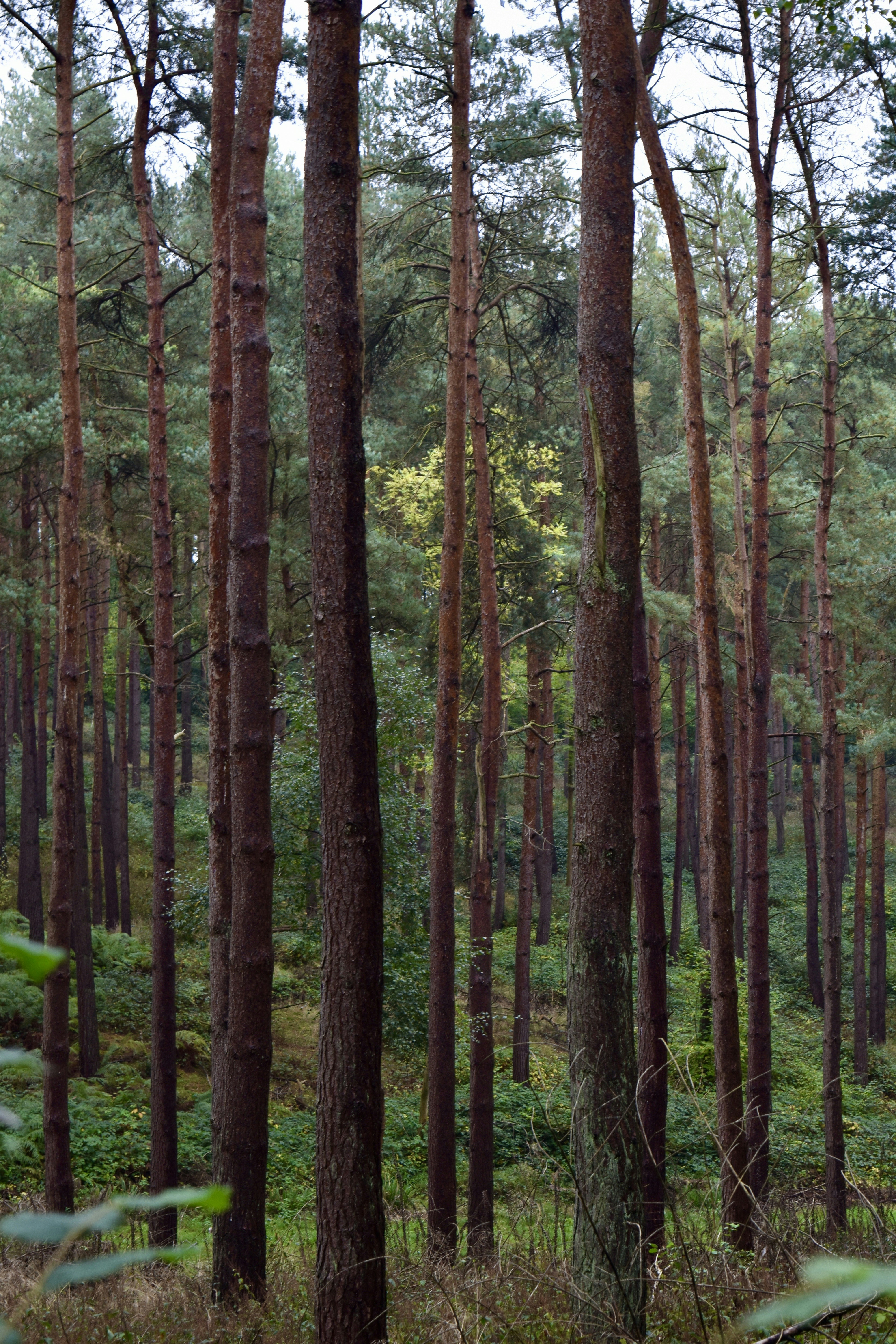 Photo by max_brindley