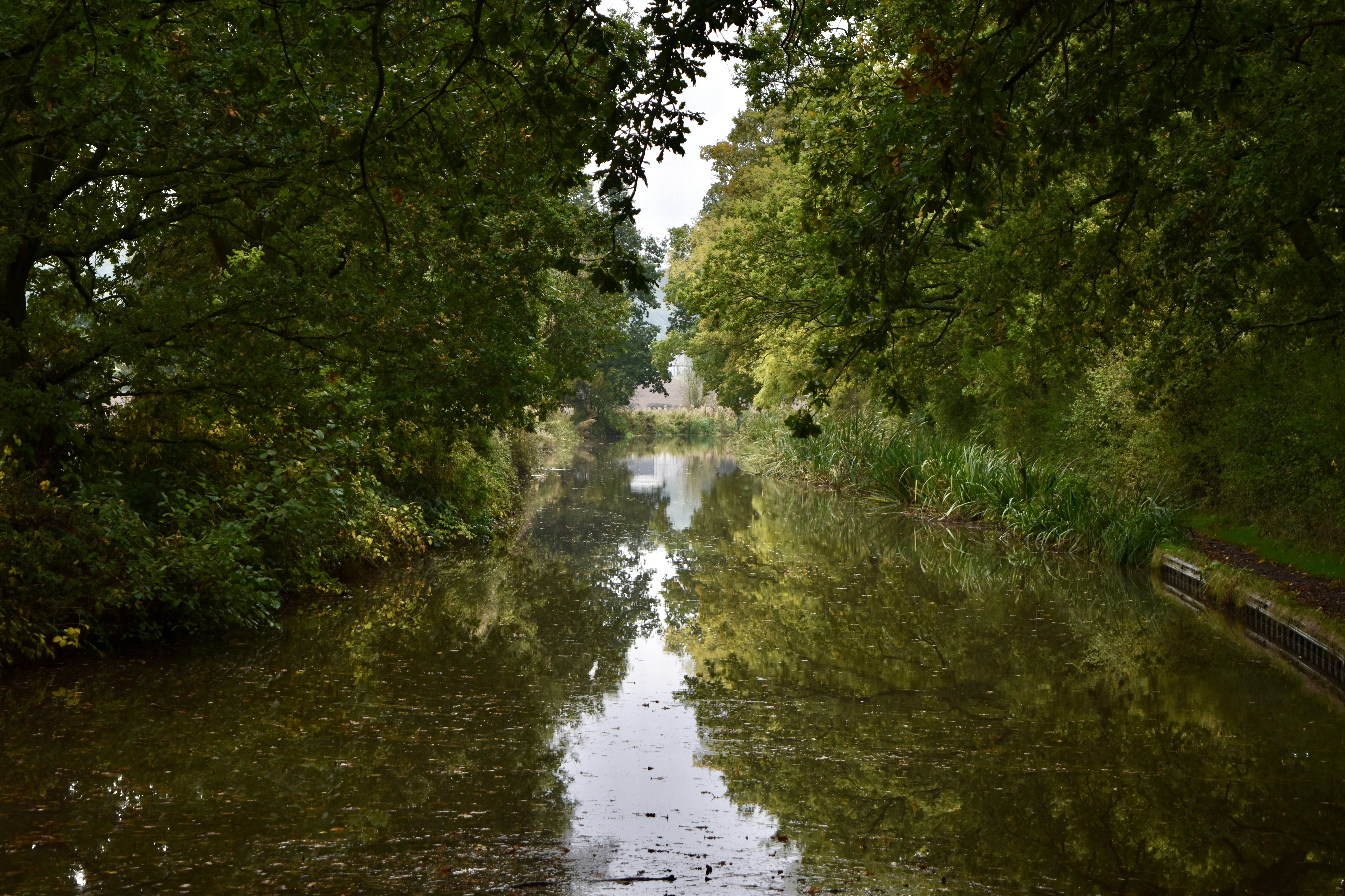 Photo by max_brindley