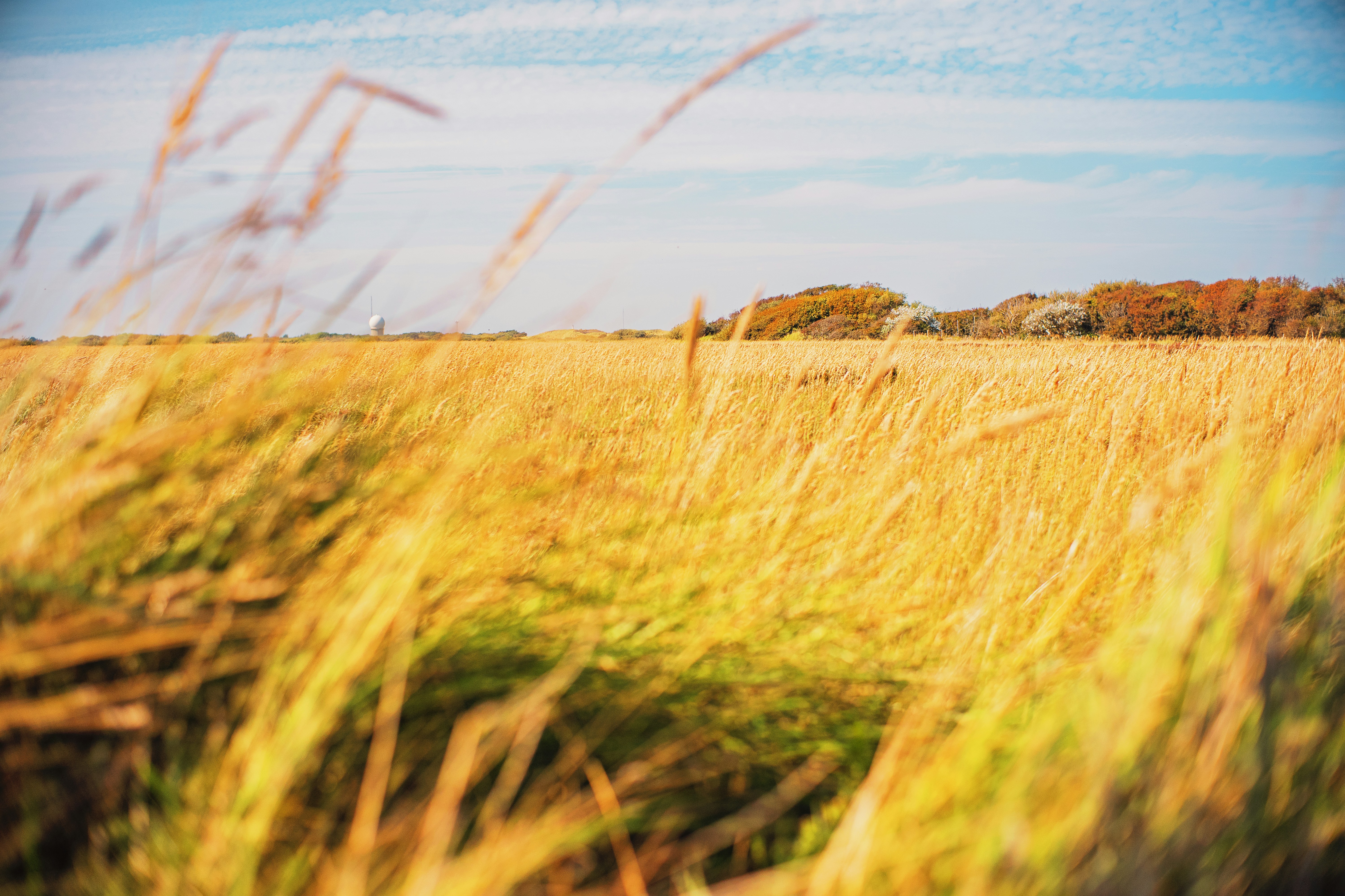 Photo by patrick_von_der_wehd