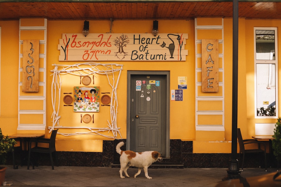 Dog-Friendly Restaurants in London: The Best Places to Eat with Your Dog