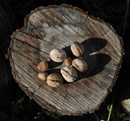 A piece of wood with nuts on it