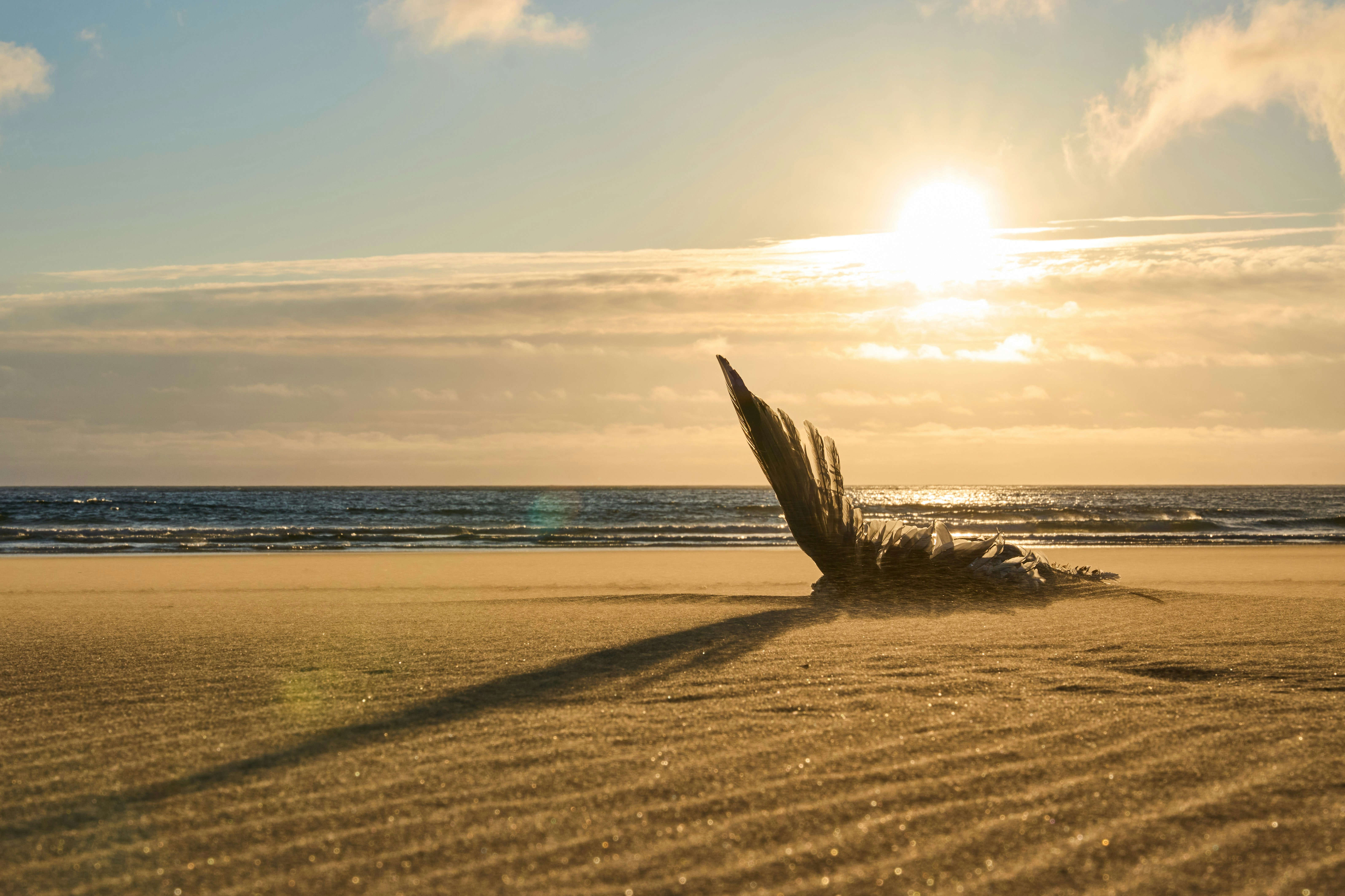 Image by Lukas Seitz via Unsplash