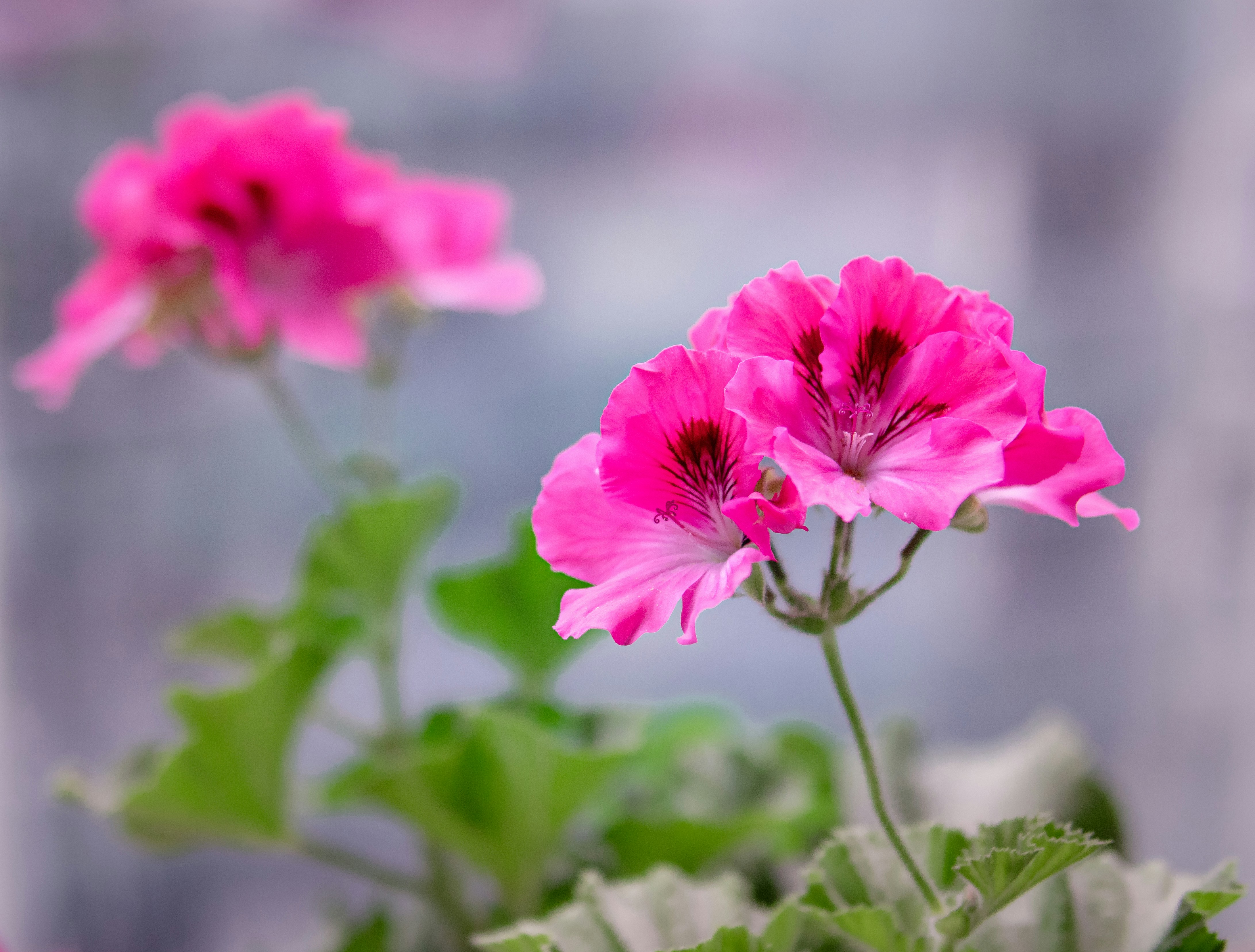 Photo by nature_of_the_experiment