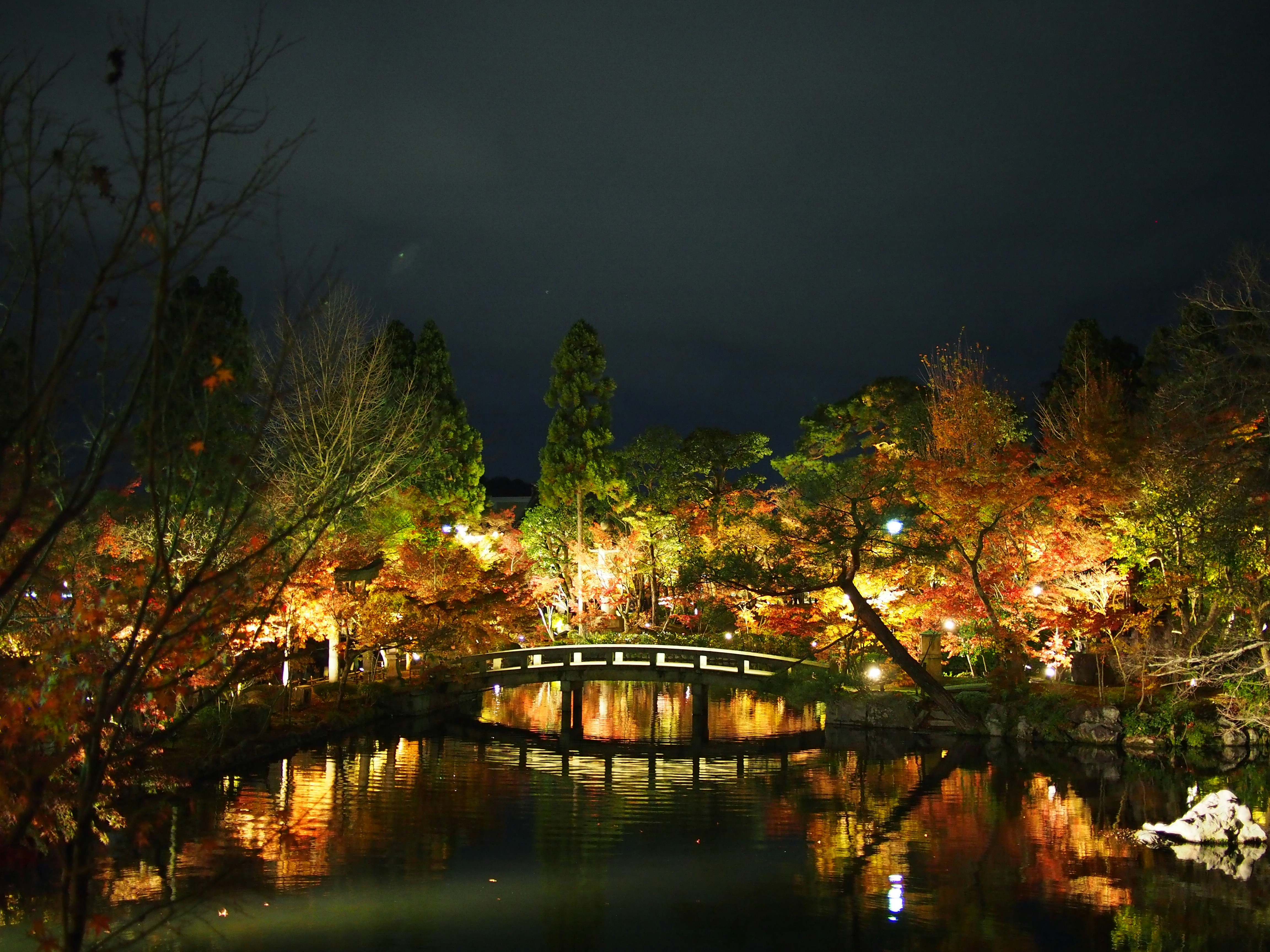 Kyoto Japan Eikando Clouds Night Autumn Lightup