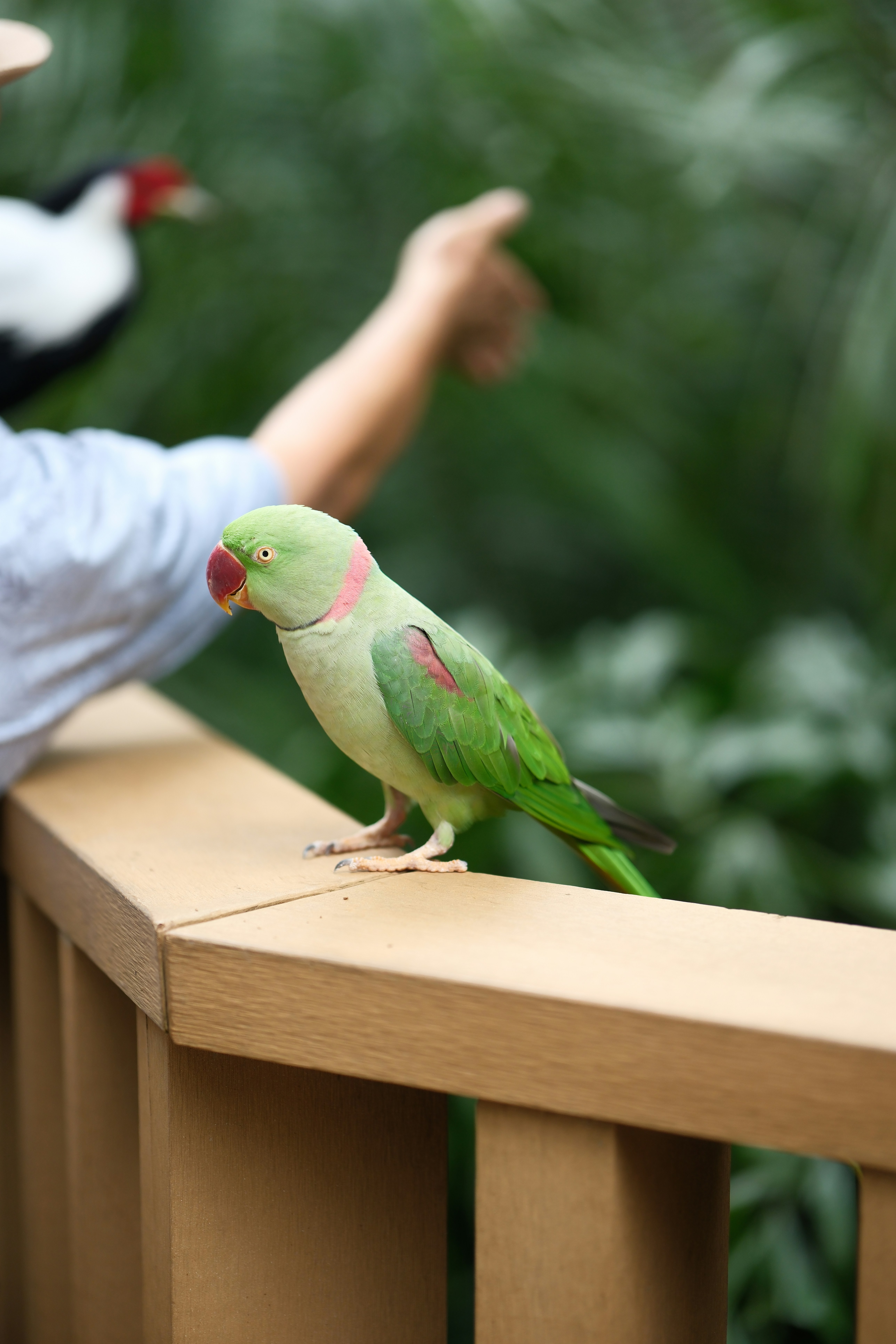 How Walking and Listening Can Be Challenging with MS