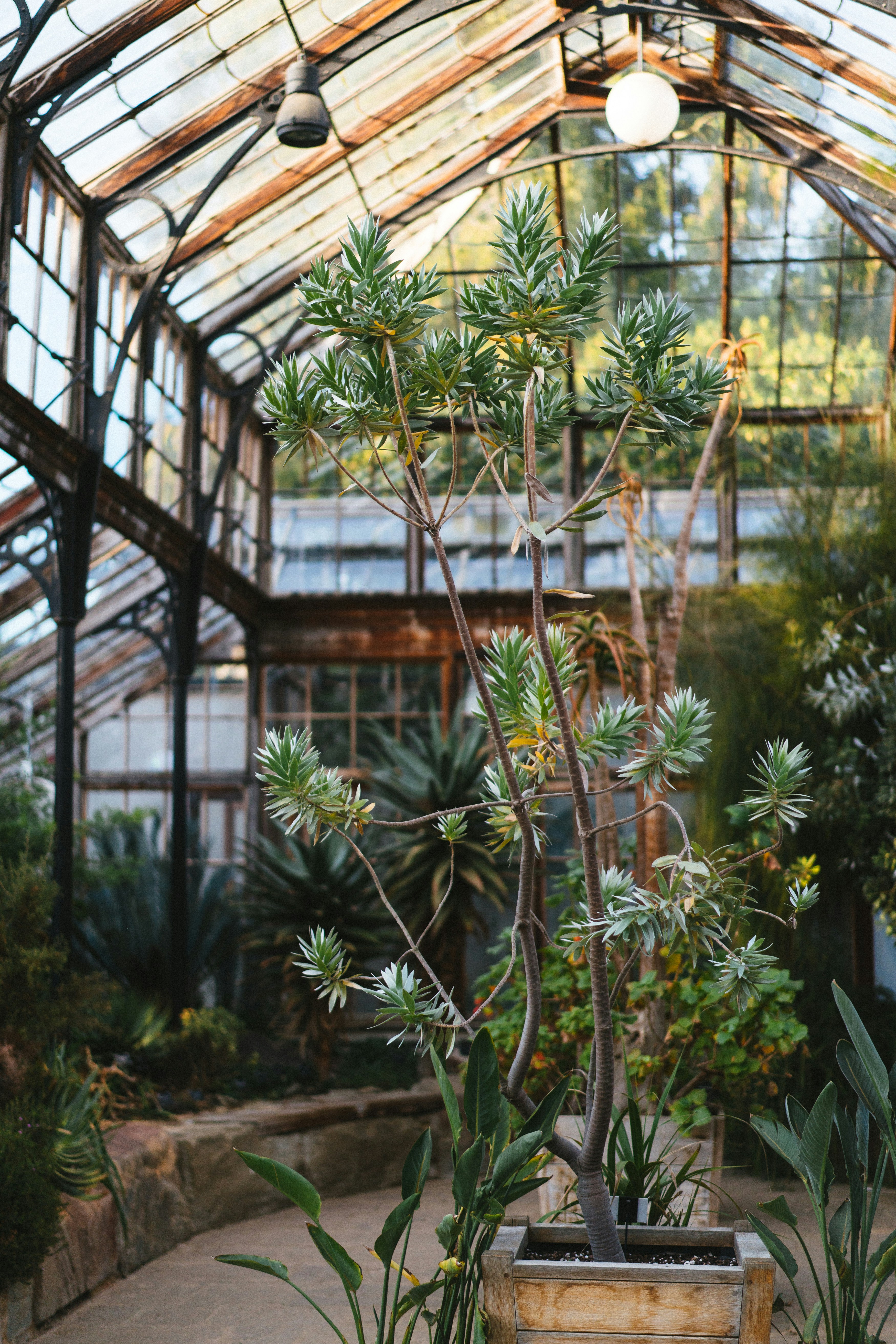 Photo by philhearing