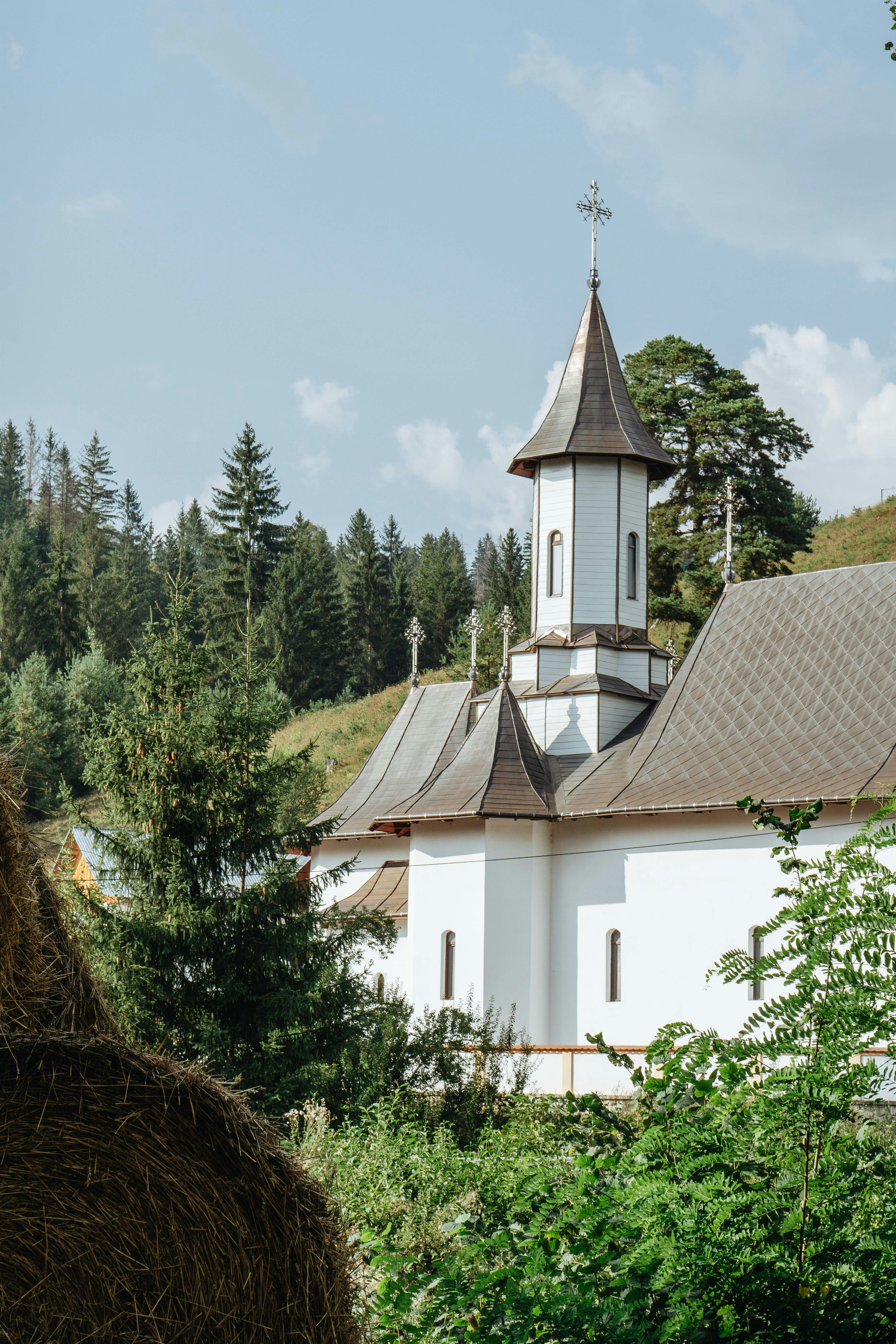 Photo by kateryna_senkevych