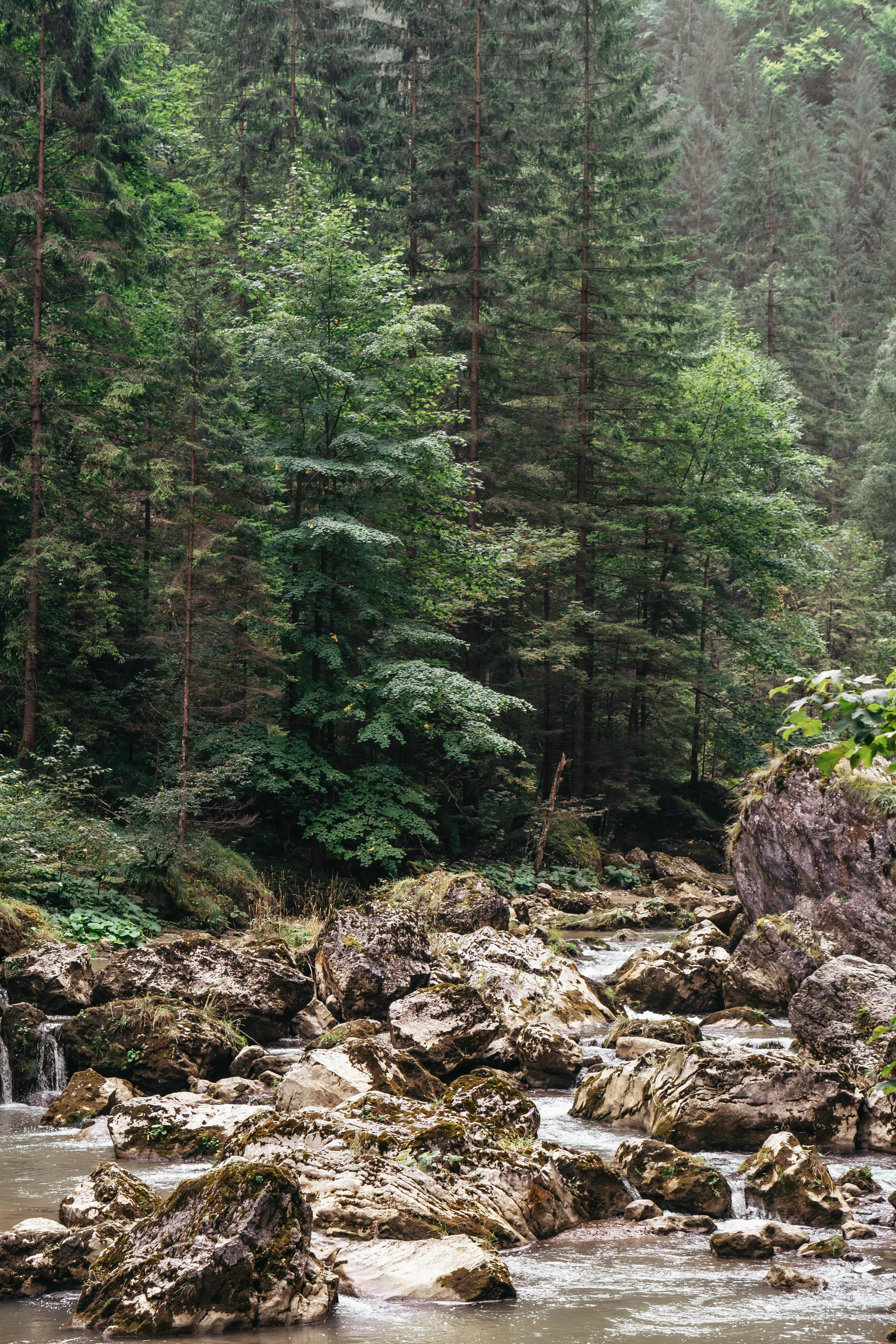 Photo by kateryna_senkevych