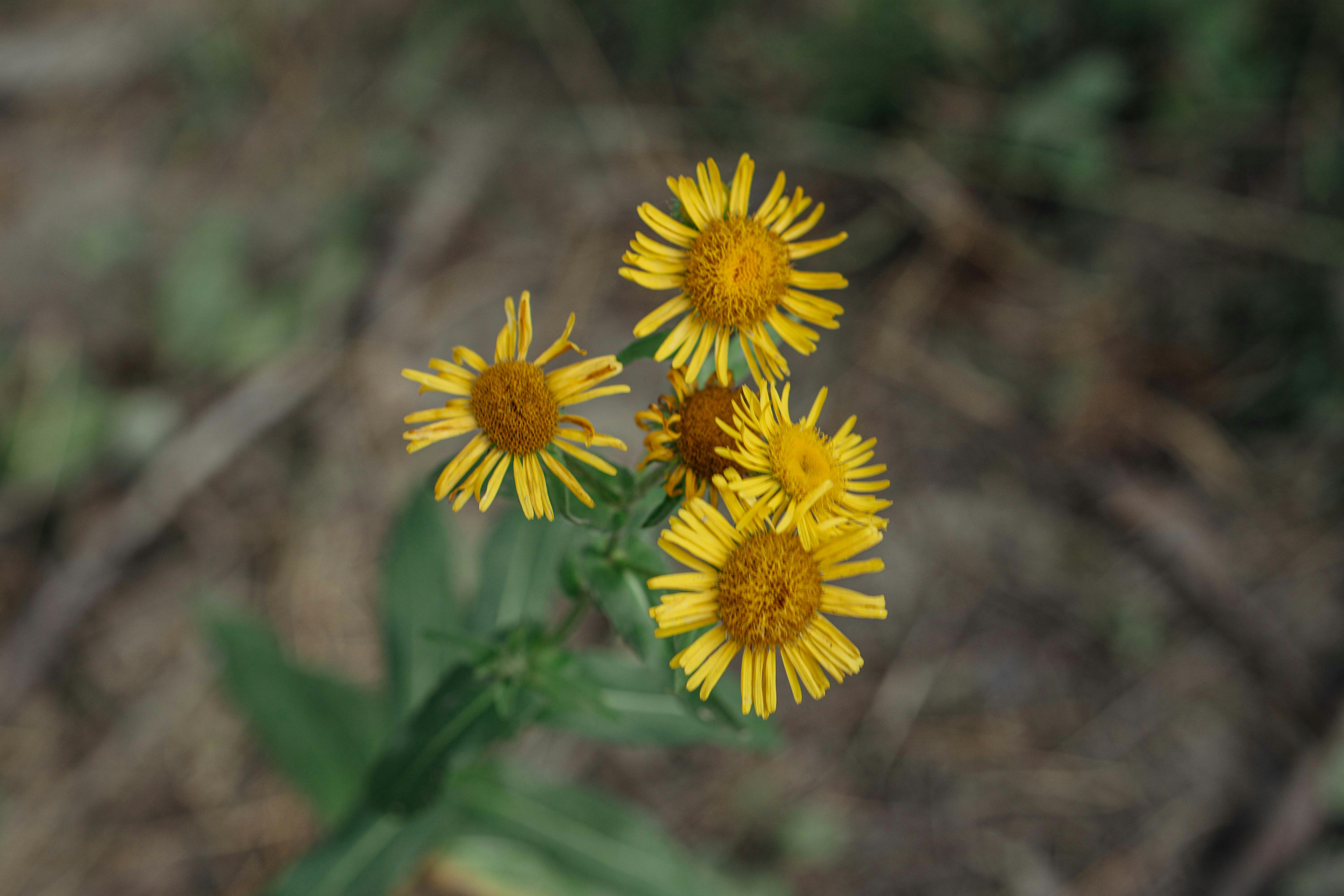 Photo by kateryna_senkevych