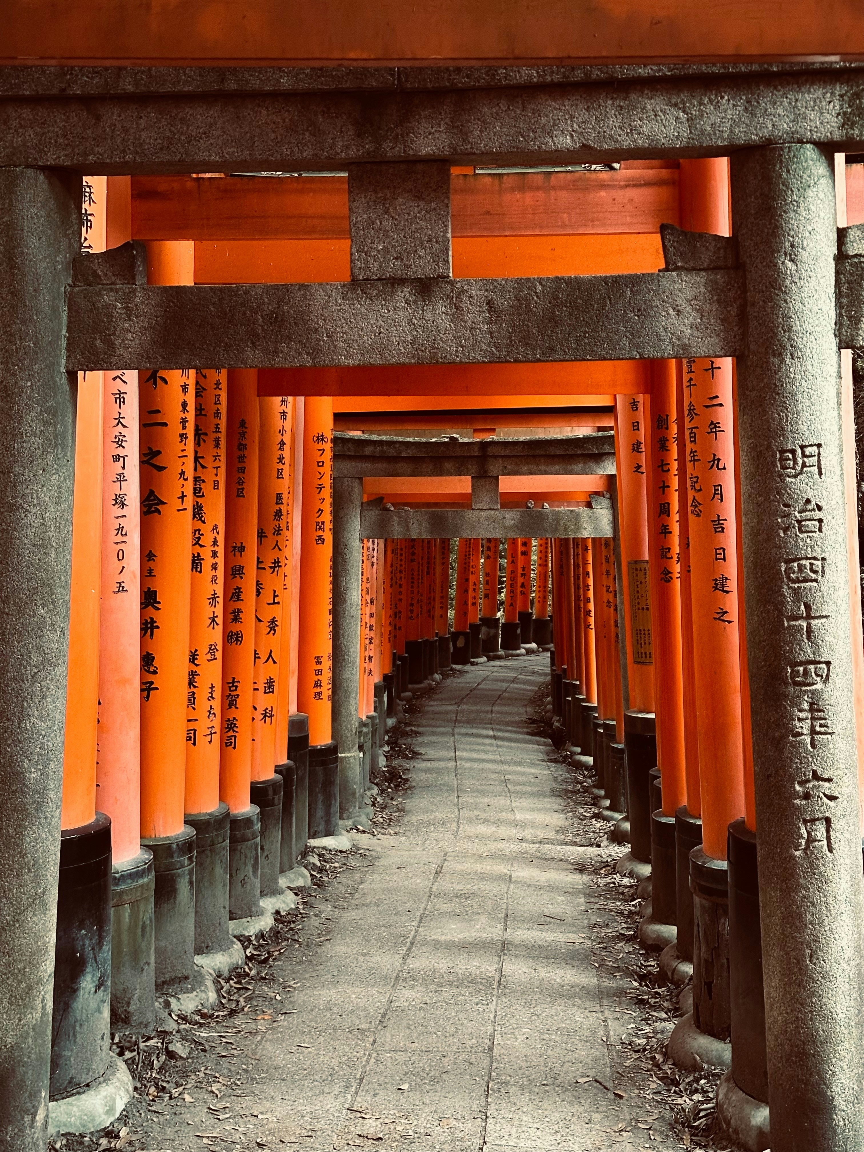 Photo by perrio