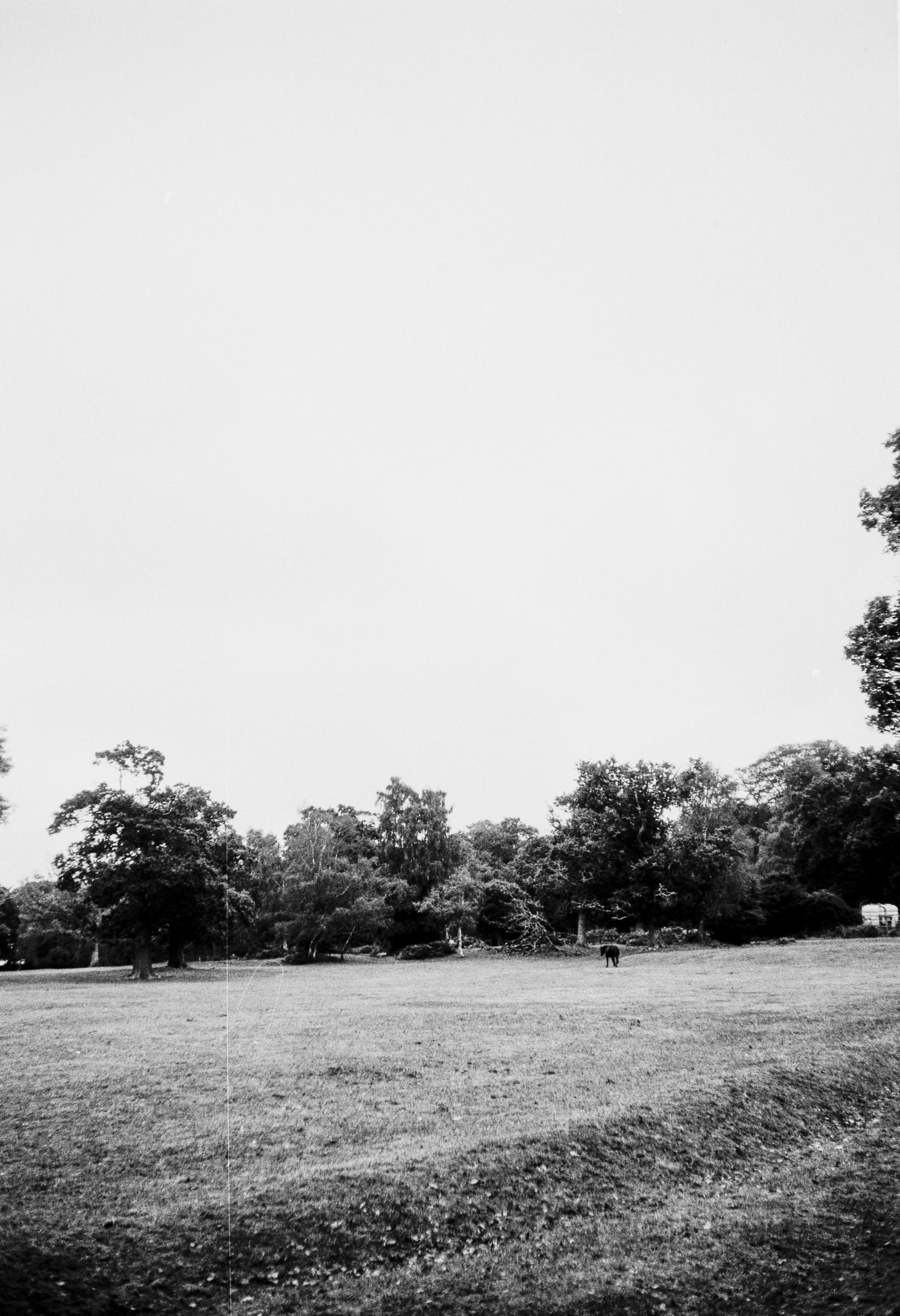 Photo by anniespratt