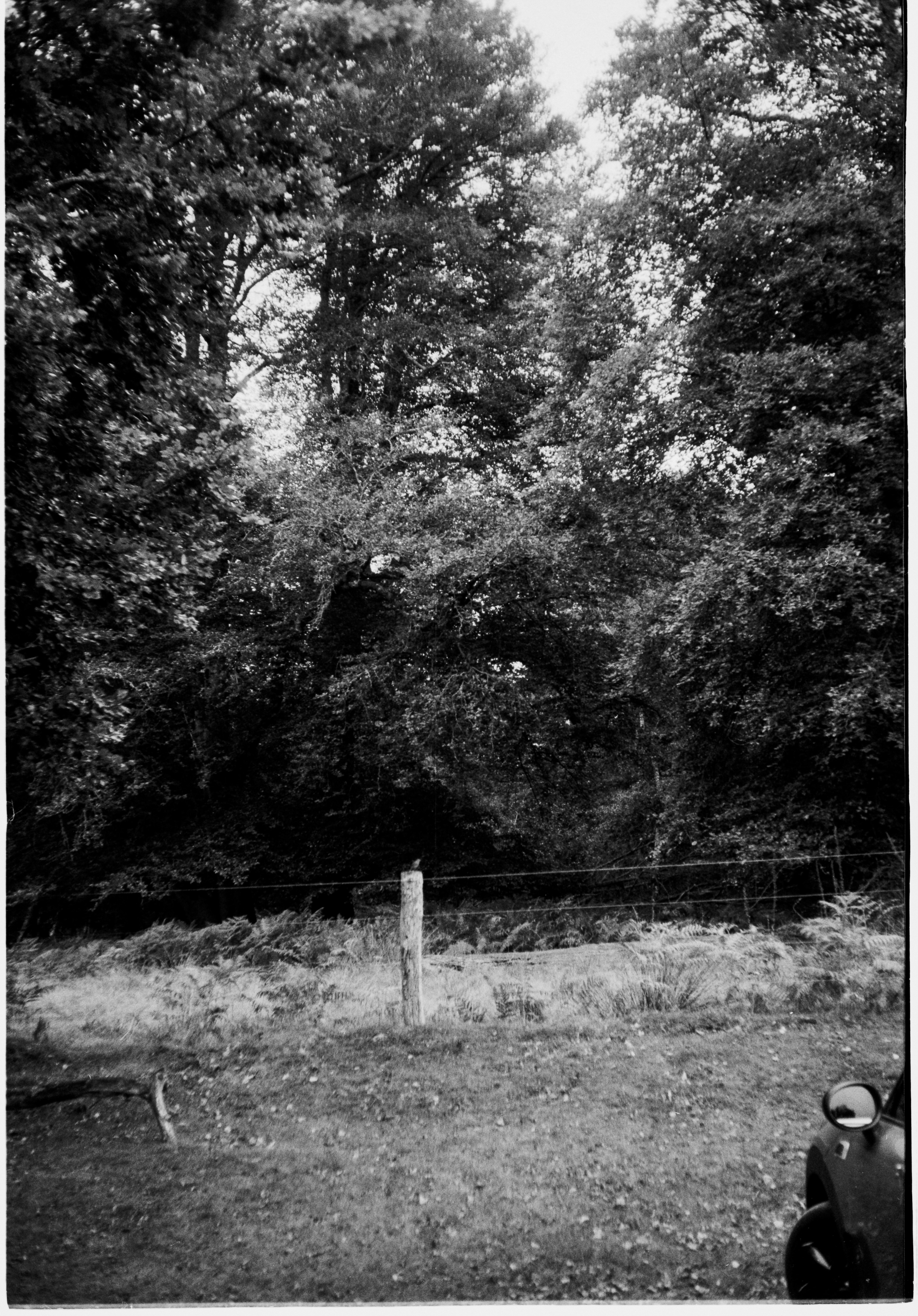 Photo by anniespratt