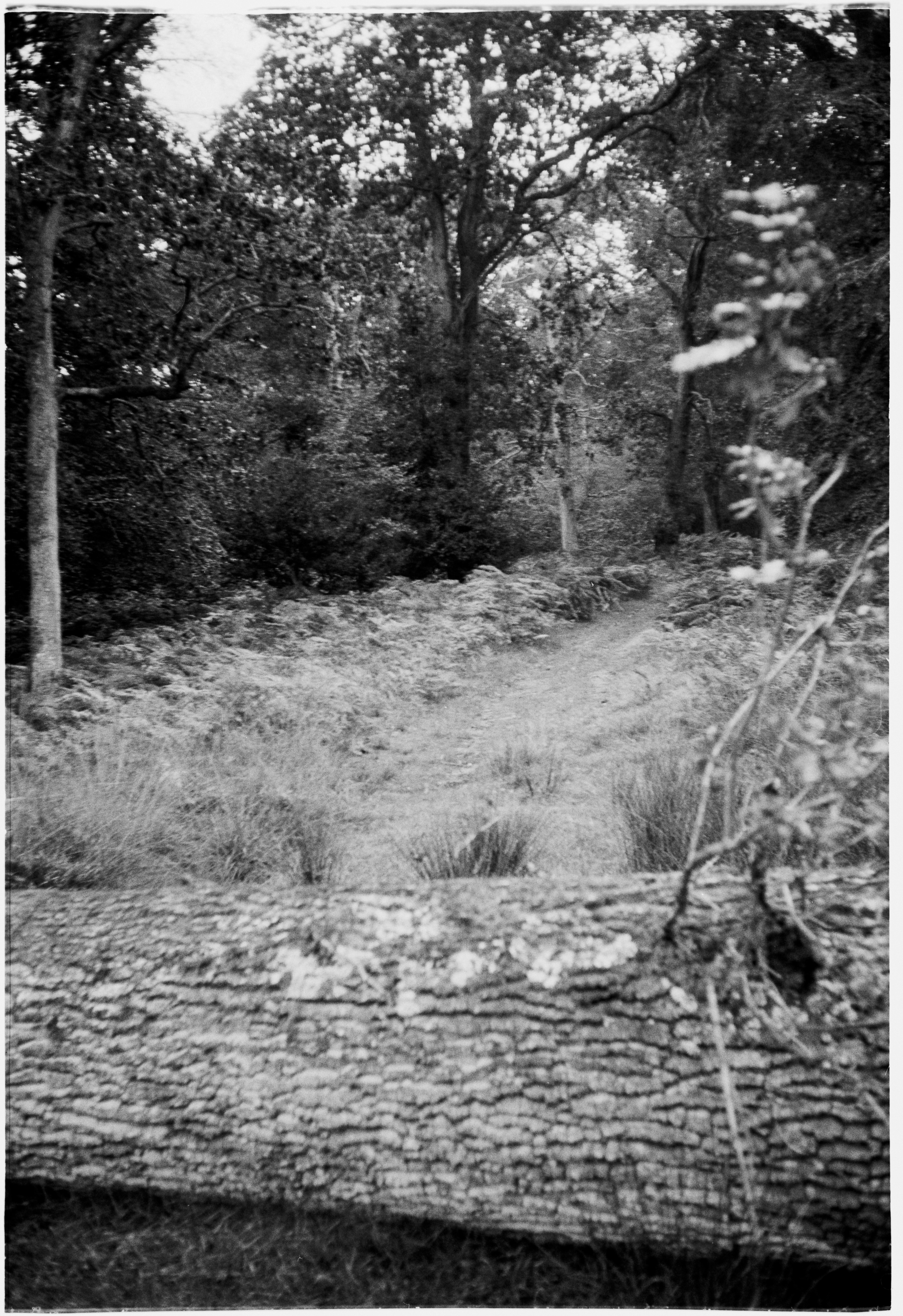 Photo by anniespratt