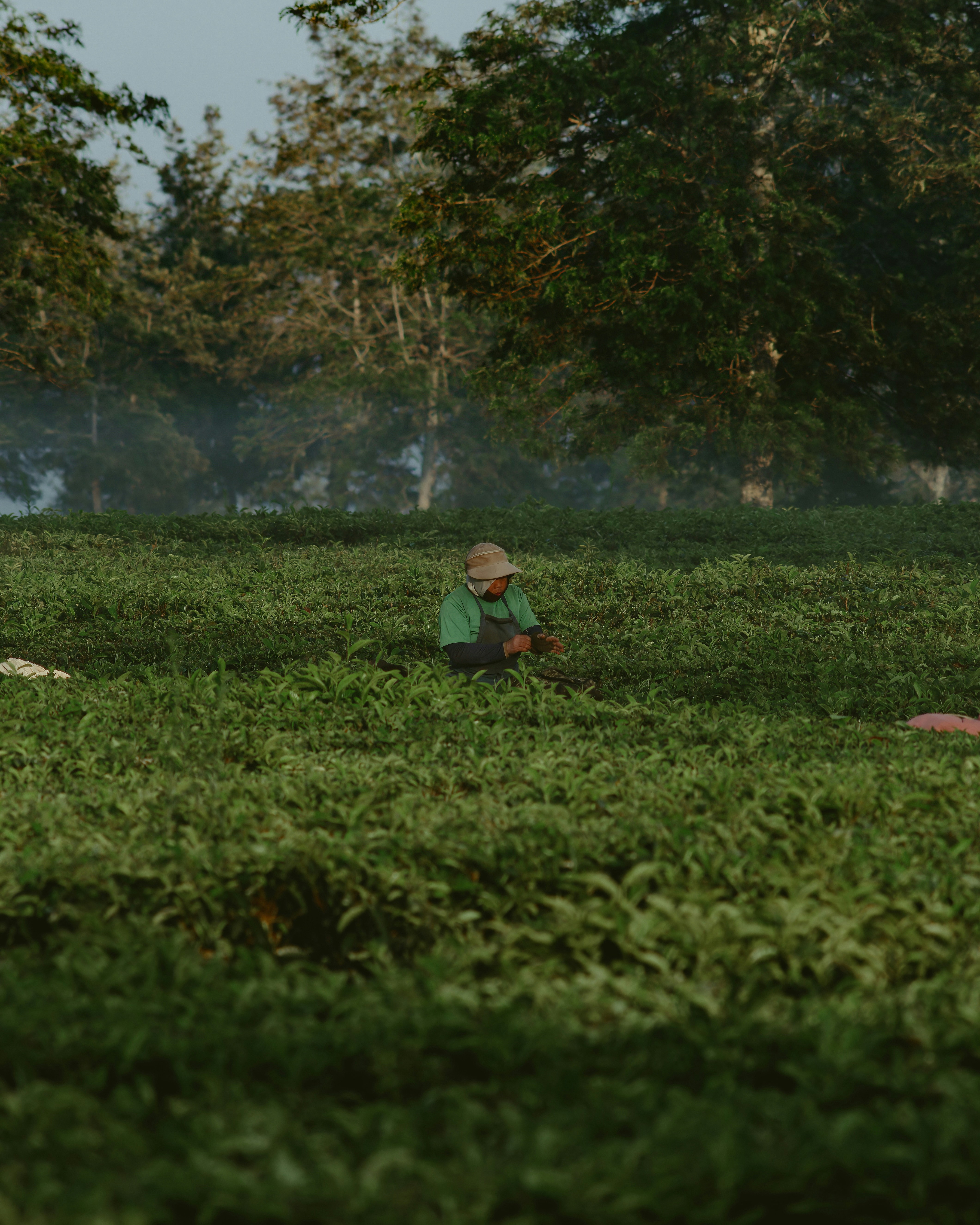 A person sitting in a field with a frisbee
