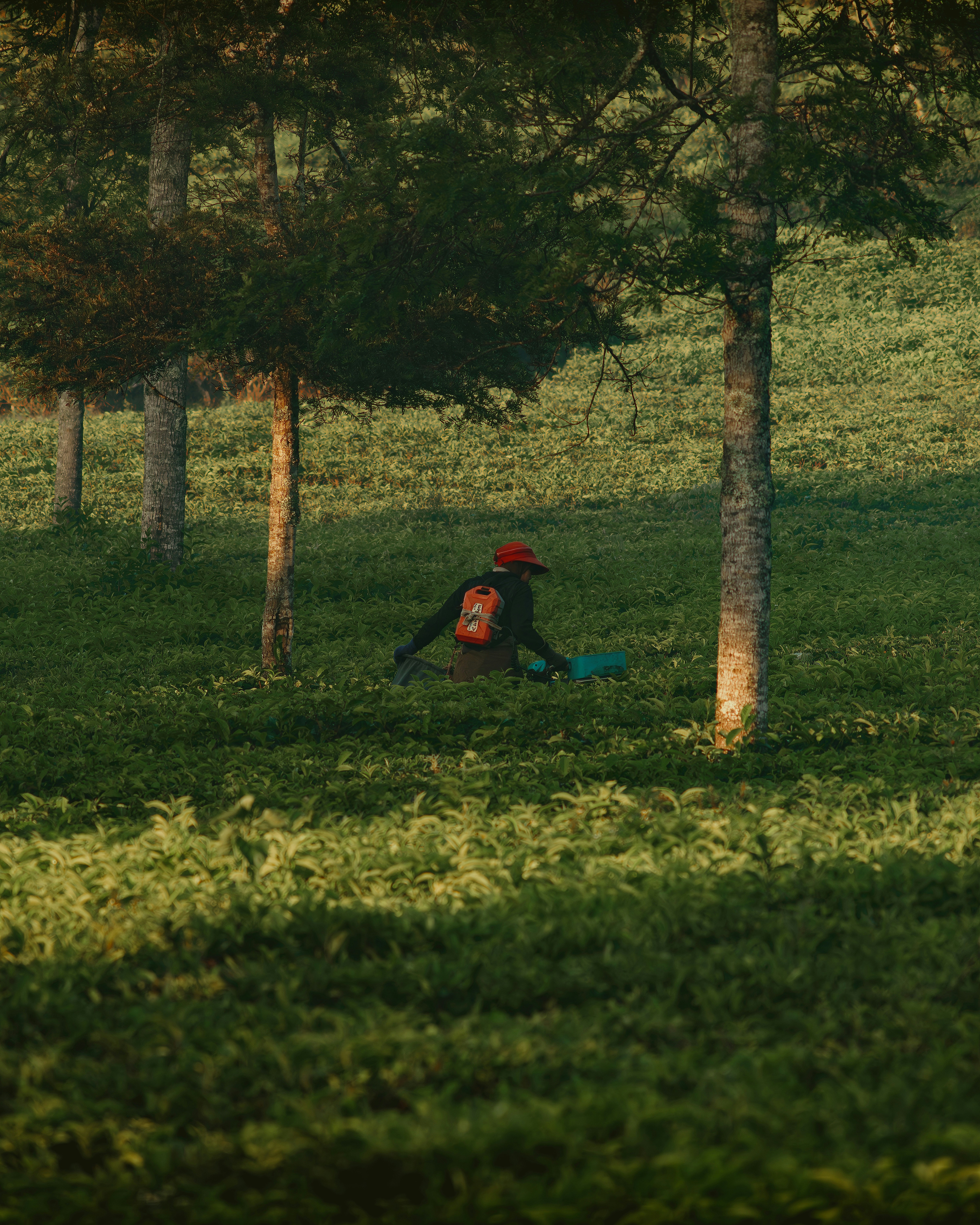 A person sitting in a field with a frisbee