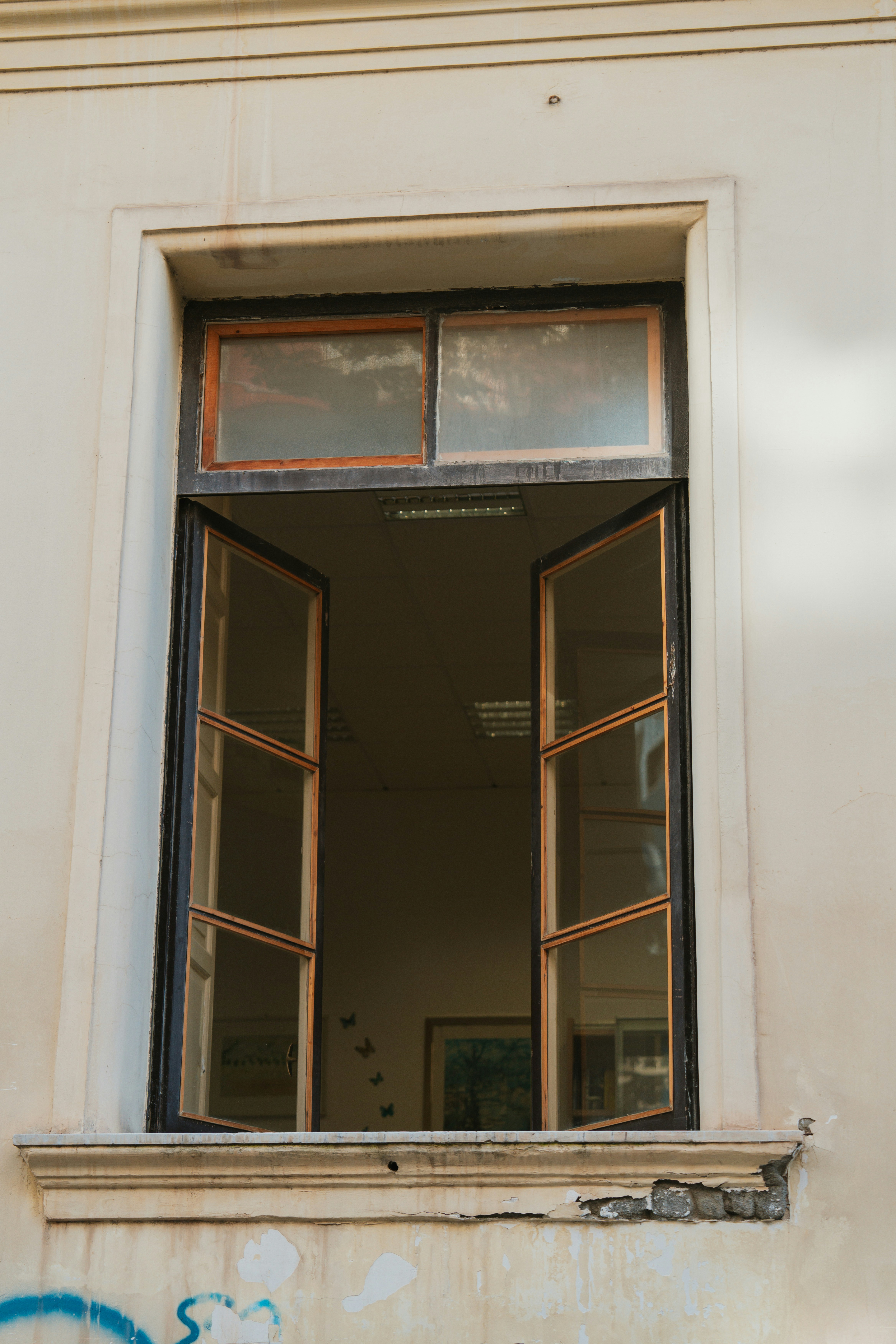 Photo by user90807060