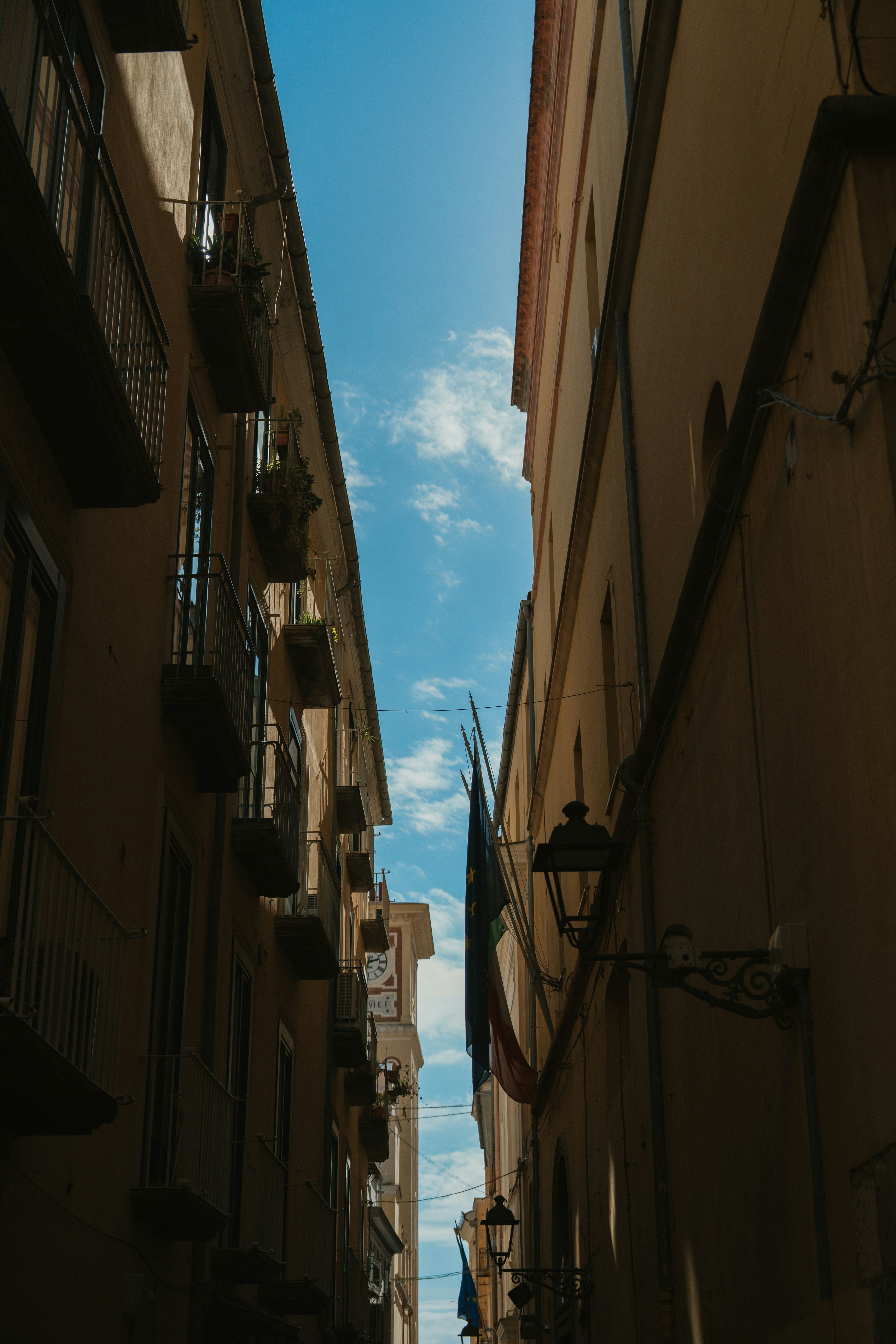 Photo by user90807060