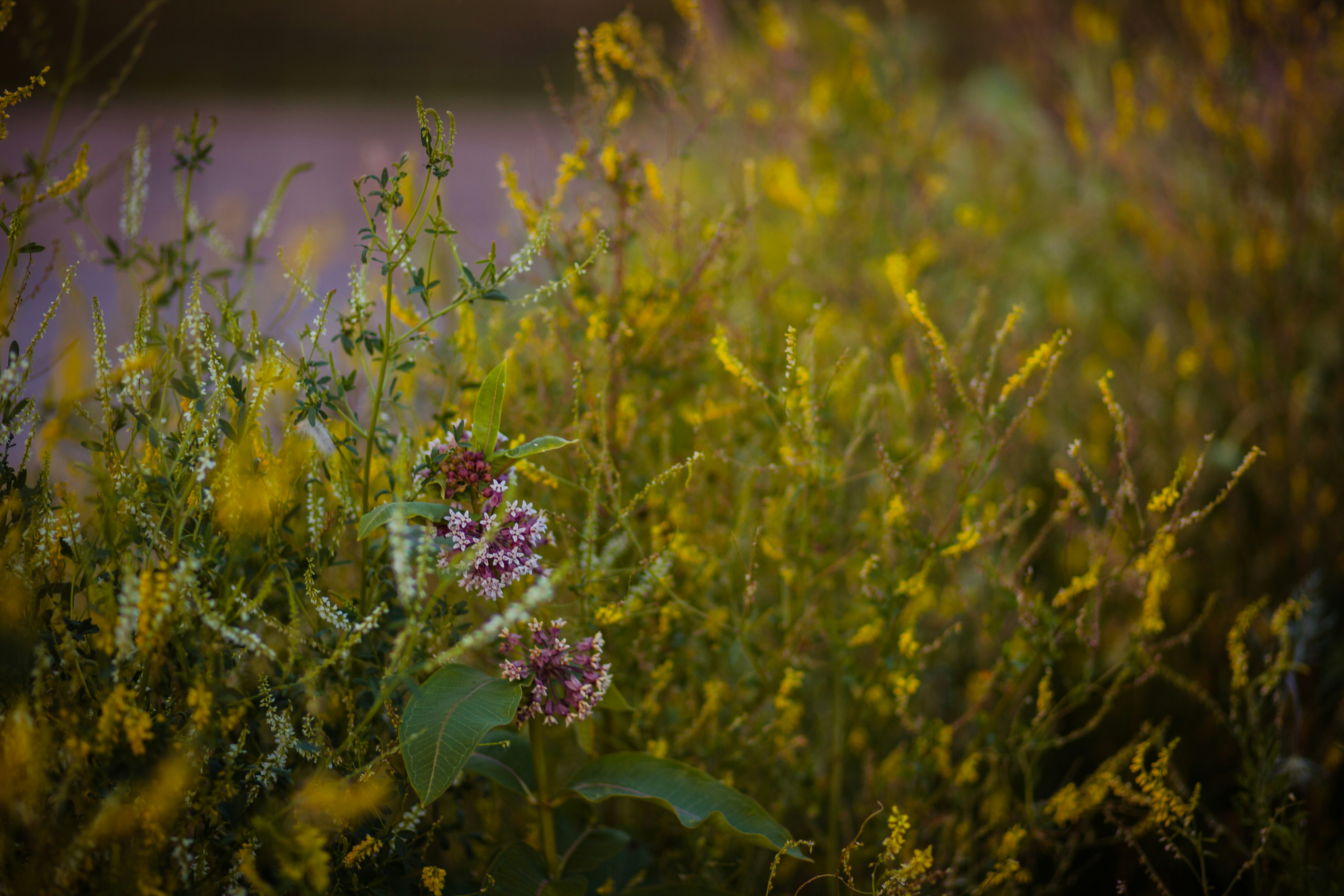 Photo by maddybakes
