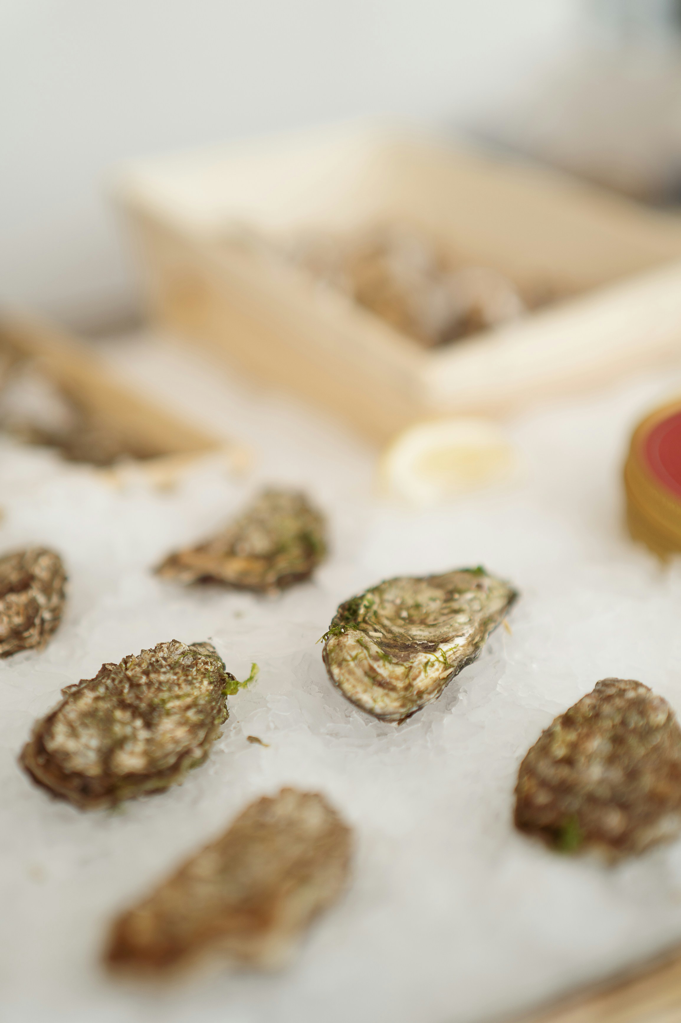 A tray of oysters on ice with a bottle of wine in the background