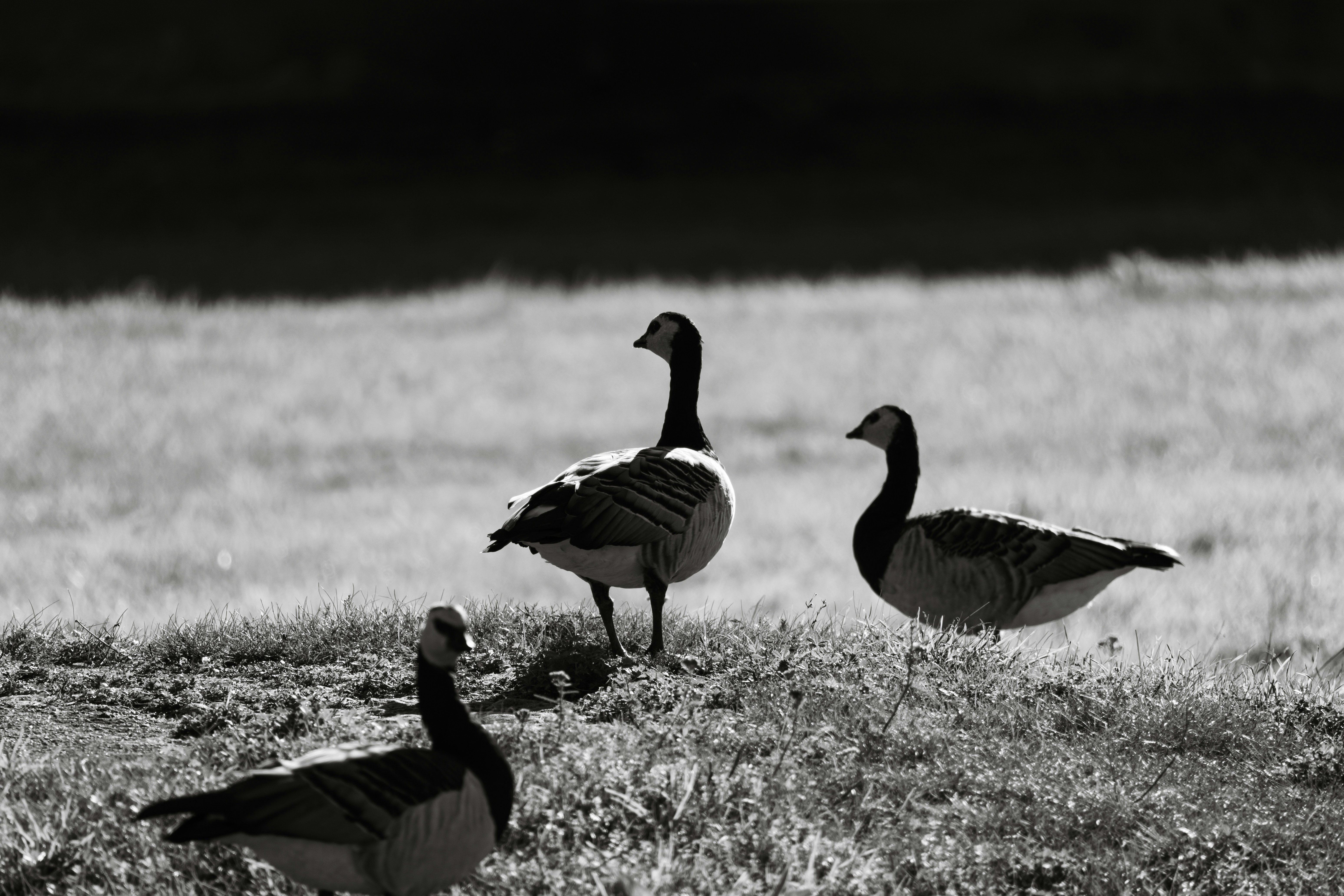 Photo by jan_ledermann