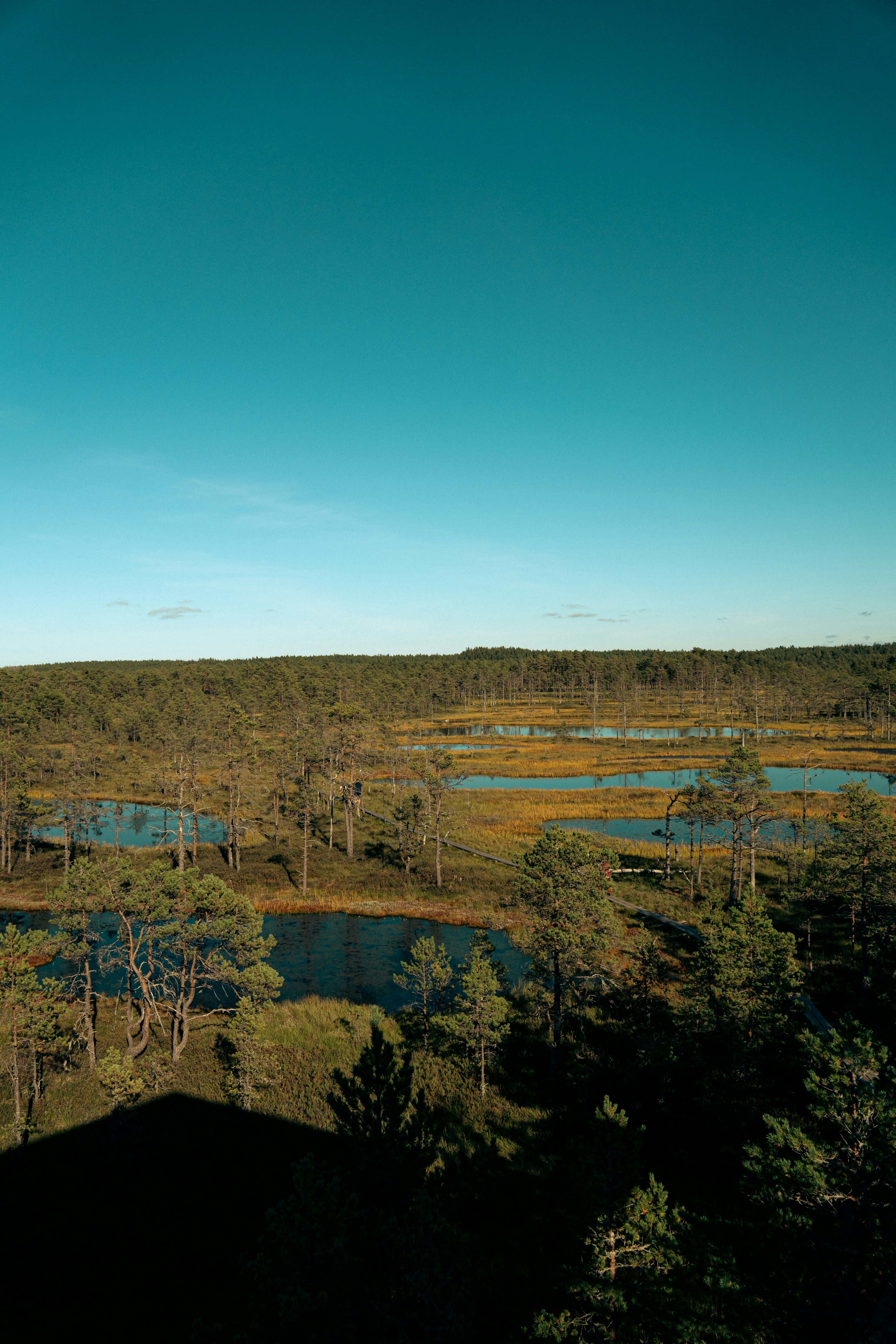 Photo by jan_ledermann