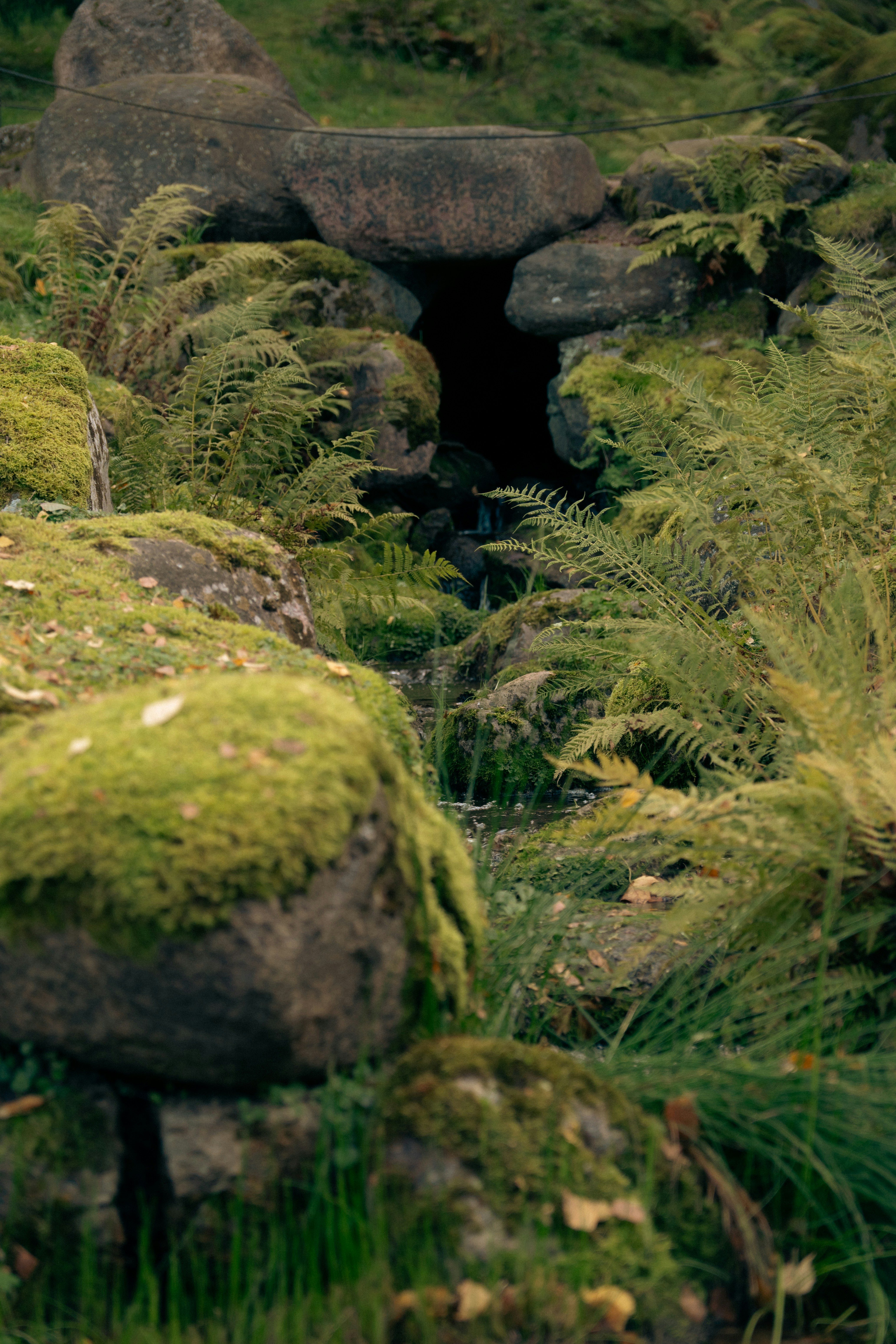 Photo by jan_ledermann